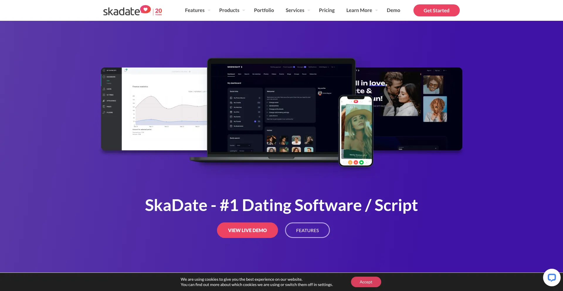 Website screenshot of Skadate.com
