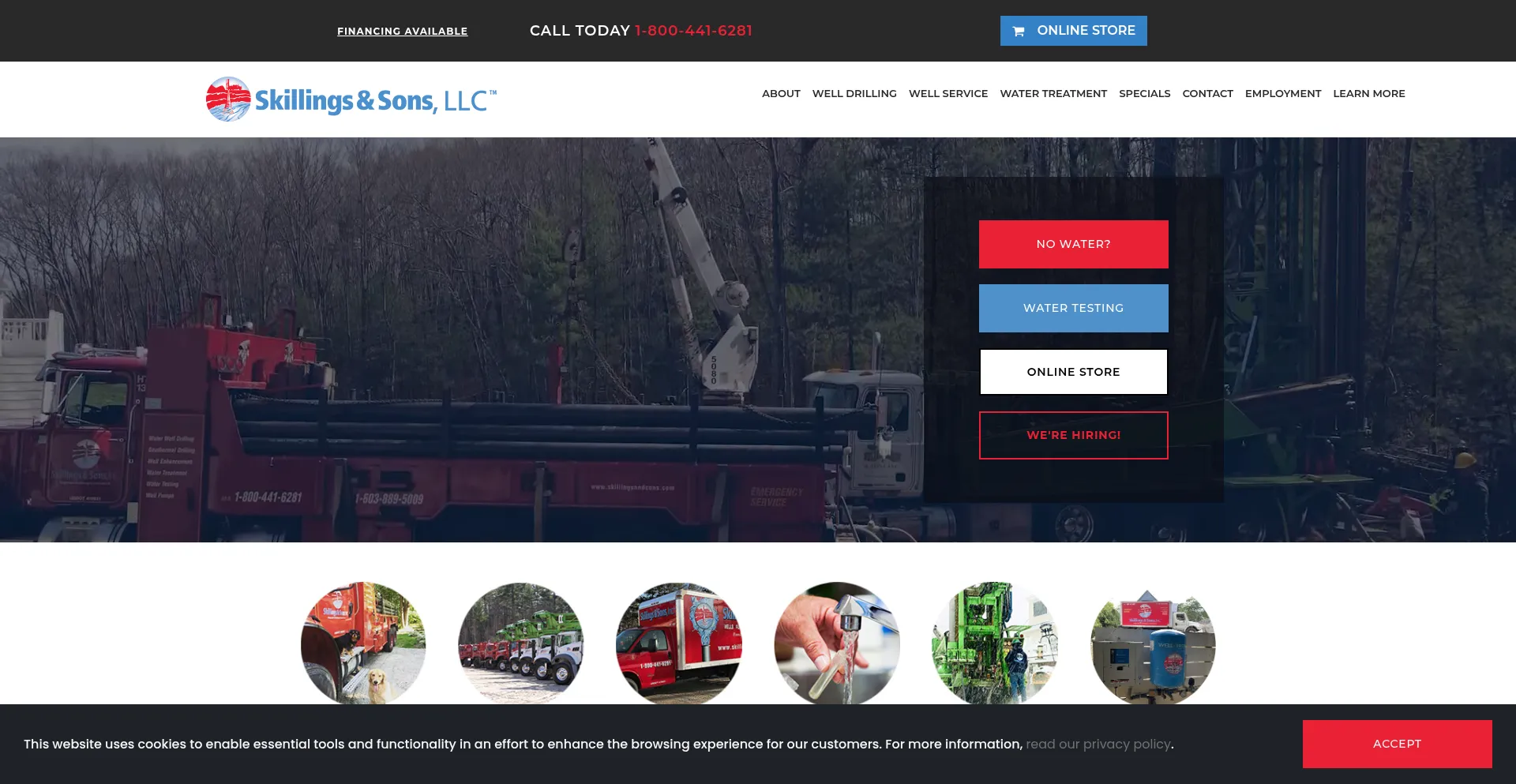 Website screenshot of Skillingsandsons.com
