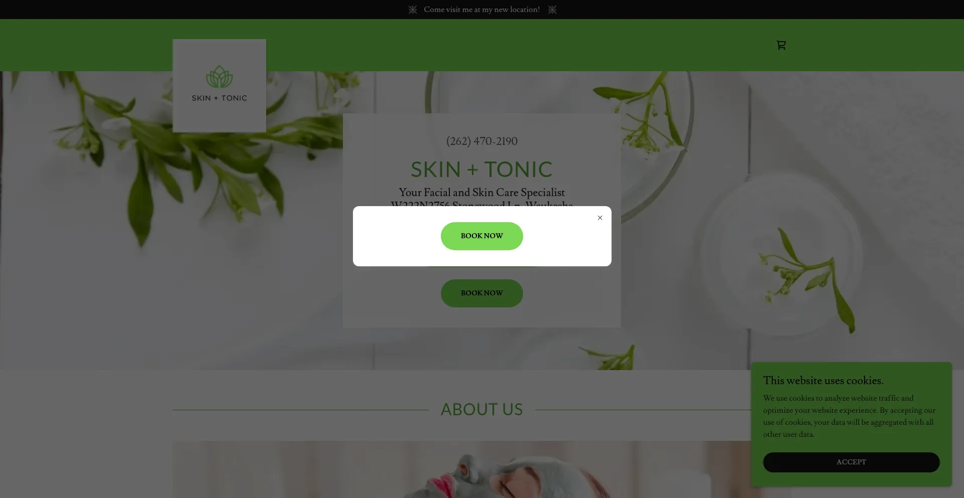 Website screenshot of Skinandtonicspa.com