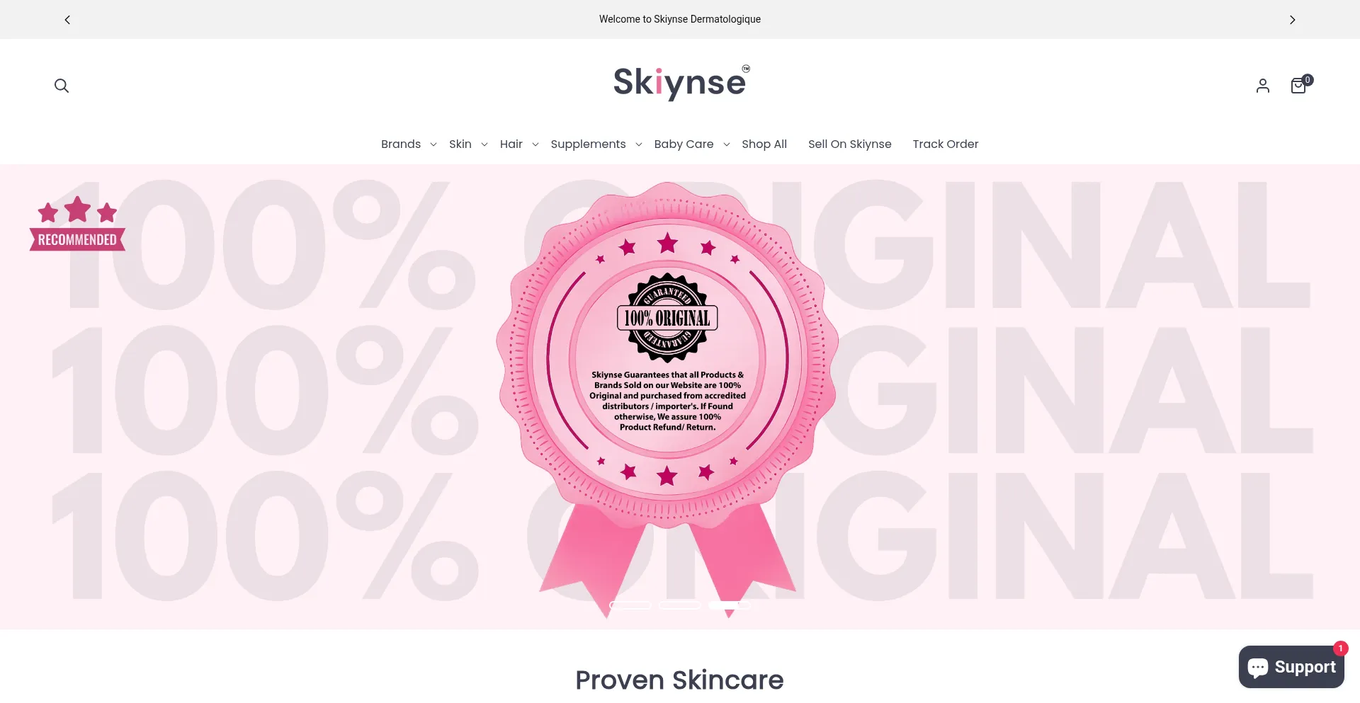 Website screenshot of Skiynse.com
