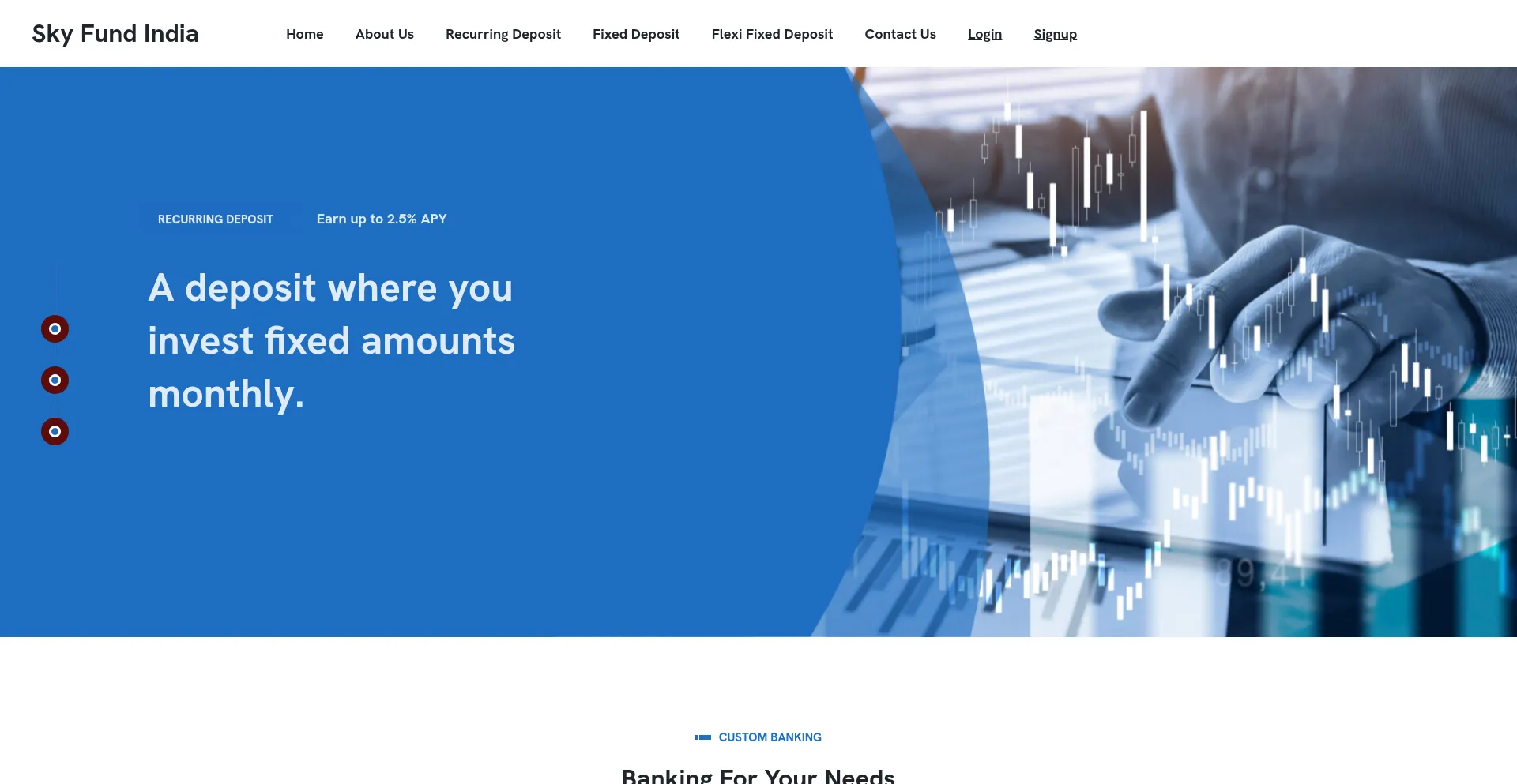 Website screenshot of Skyfundindia.com