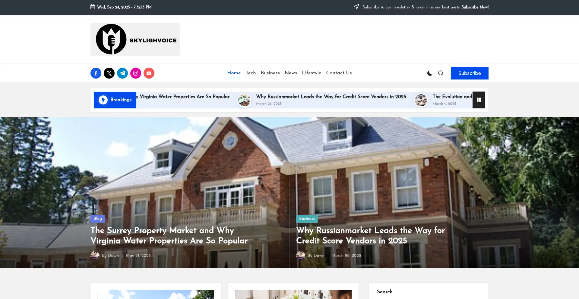 Skylightvoice.co.uk Screenshot