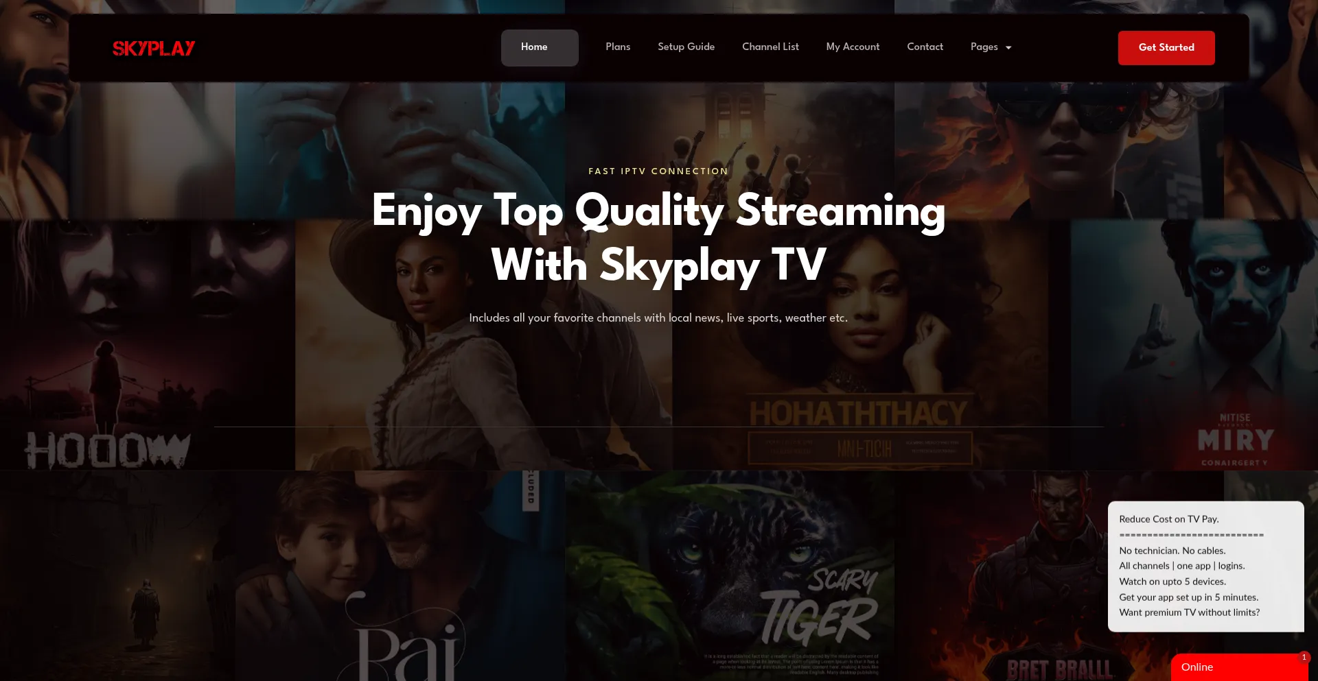Skyplaytv.com