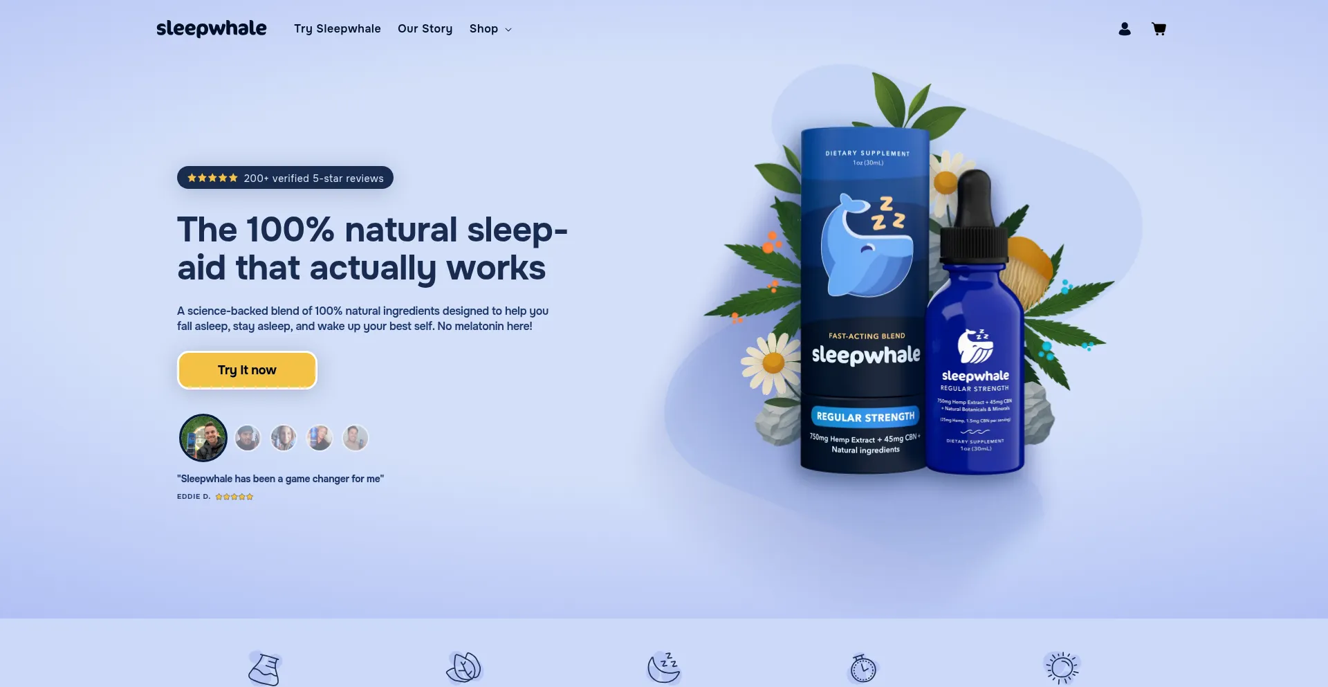 Website screenshot of Sleepwhale.com
