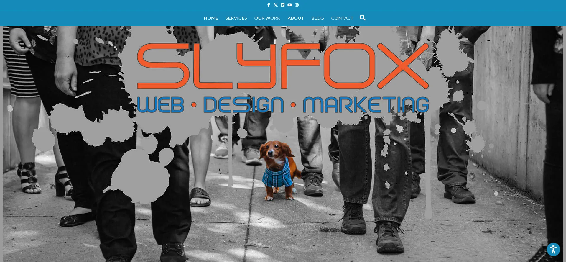 Website screenshot of Sly-fox.ca