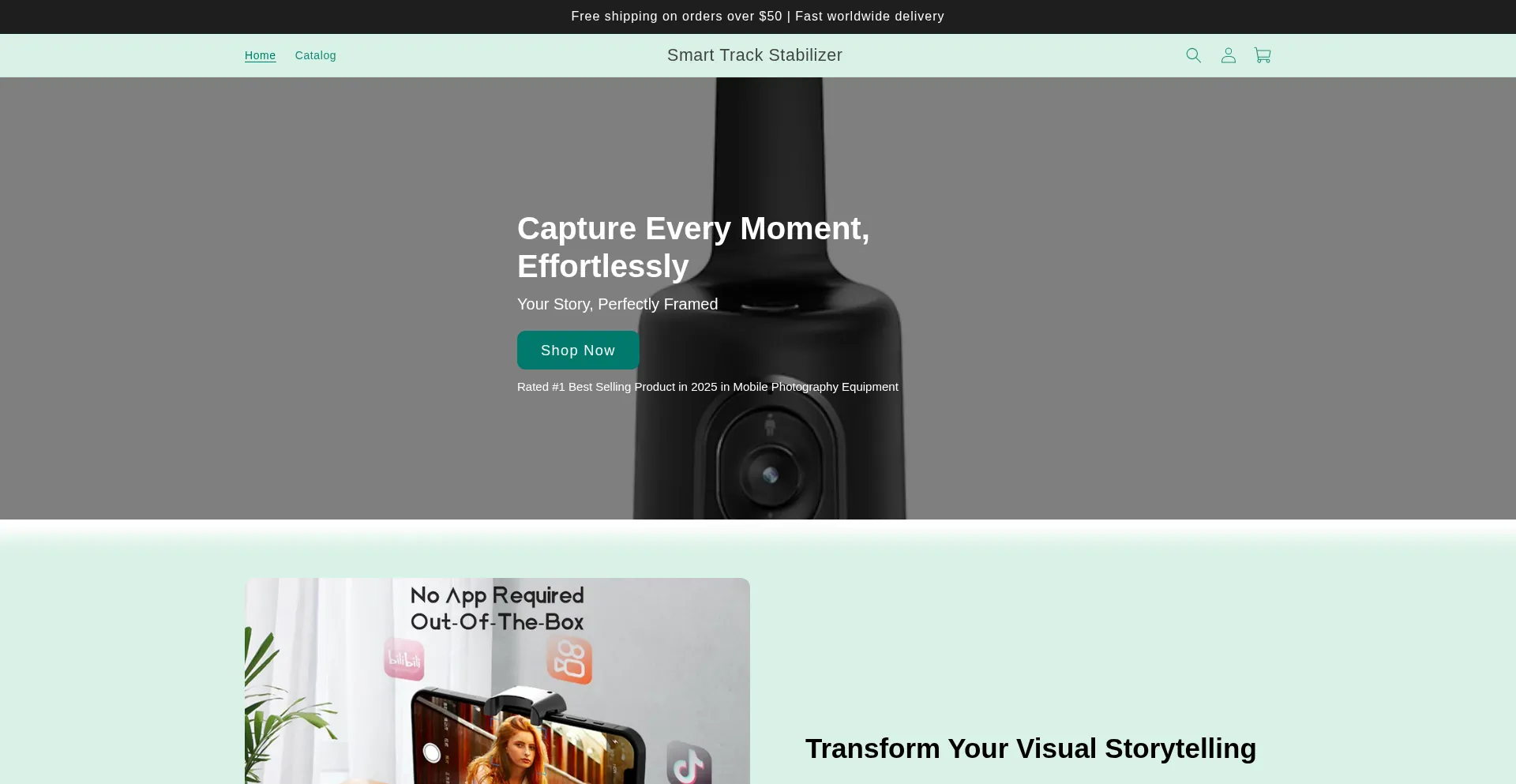 Website screenshot of Smarttrackstabilizer.com