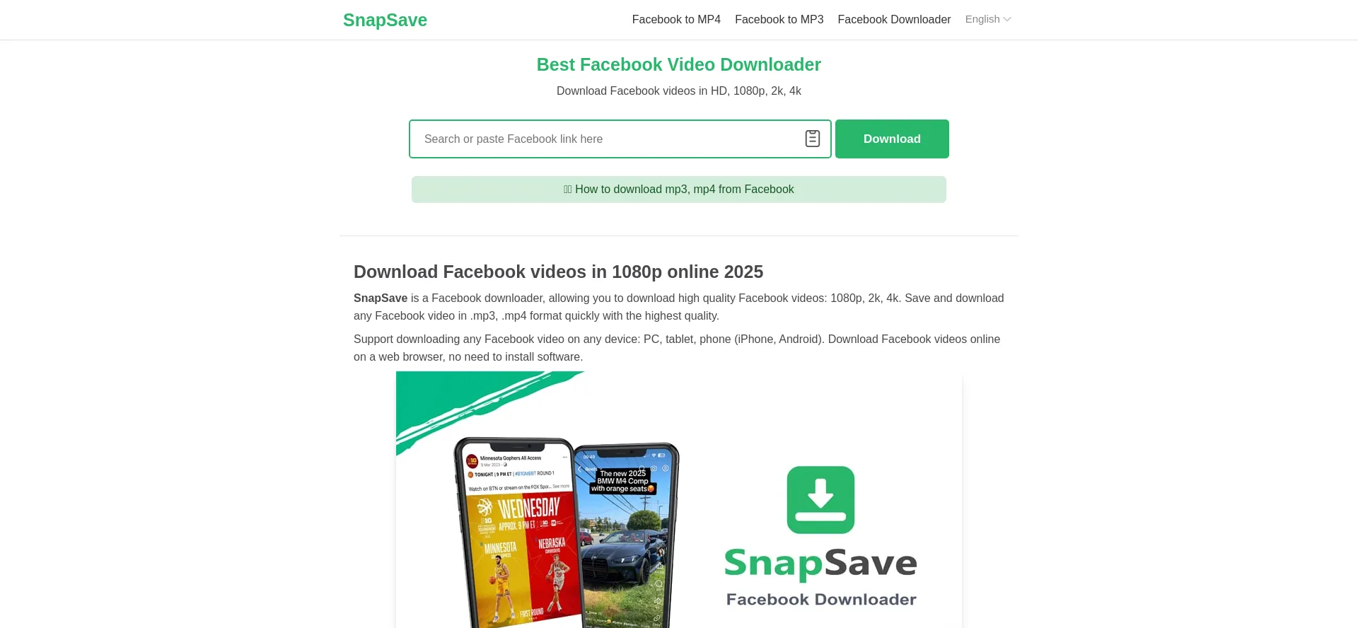 Website screenshot of Snapsave.io