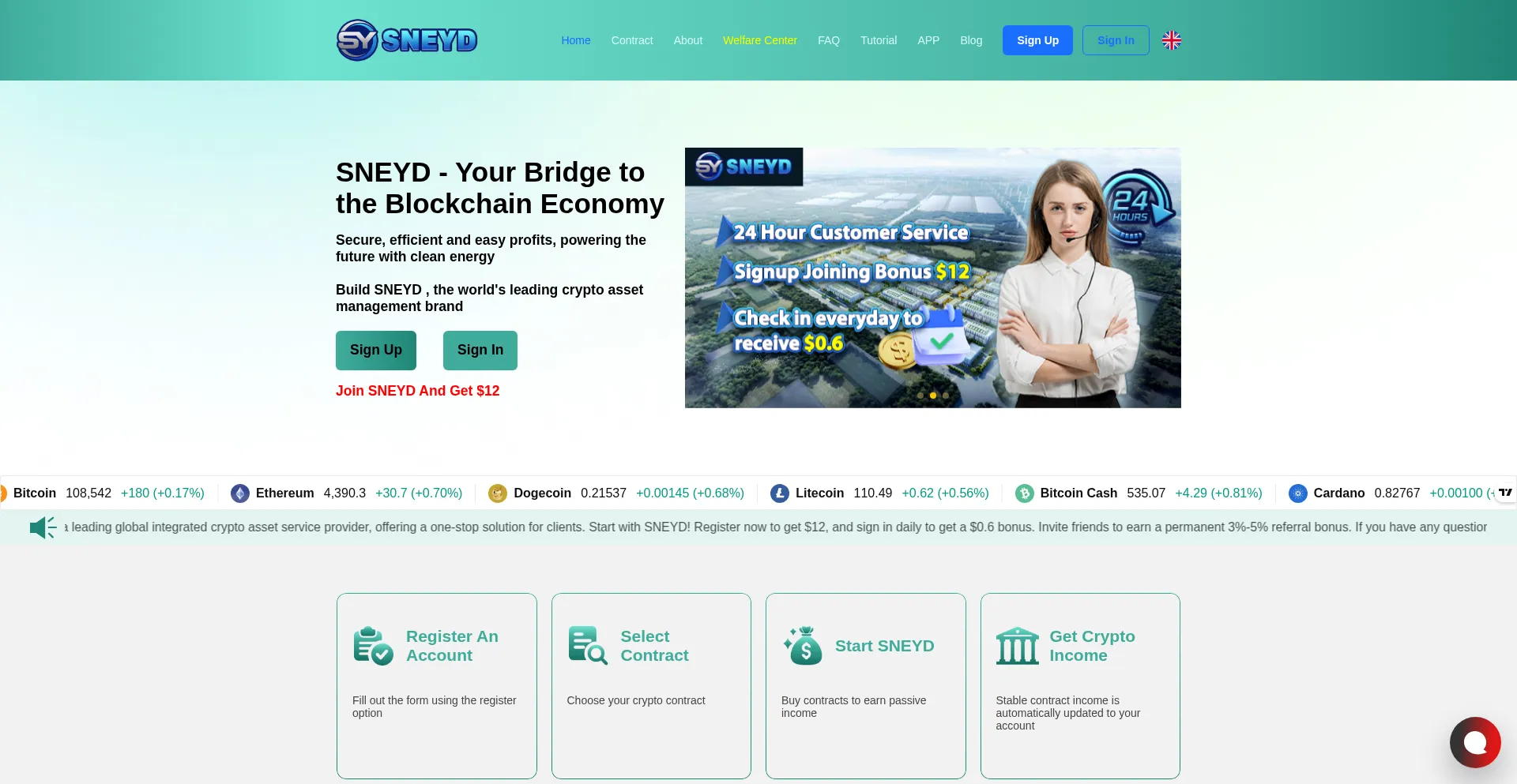 Website screenshot of Sneydmining.com