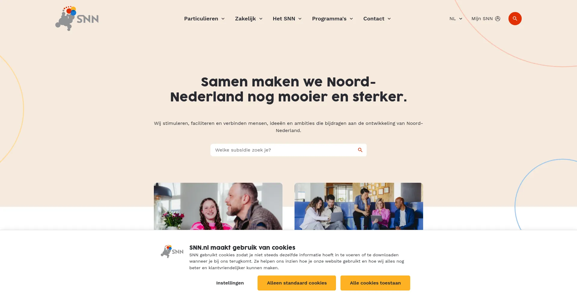 Website screenshot of Snn.nl