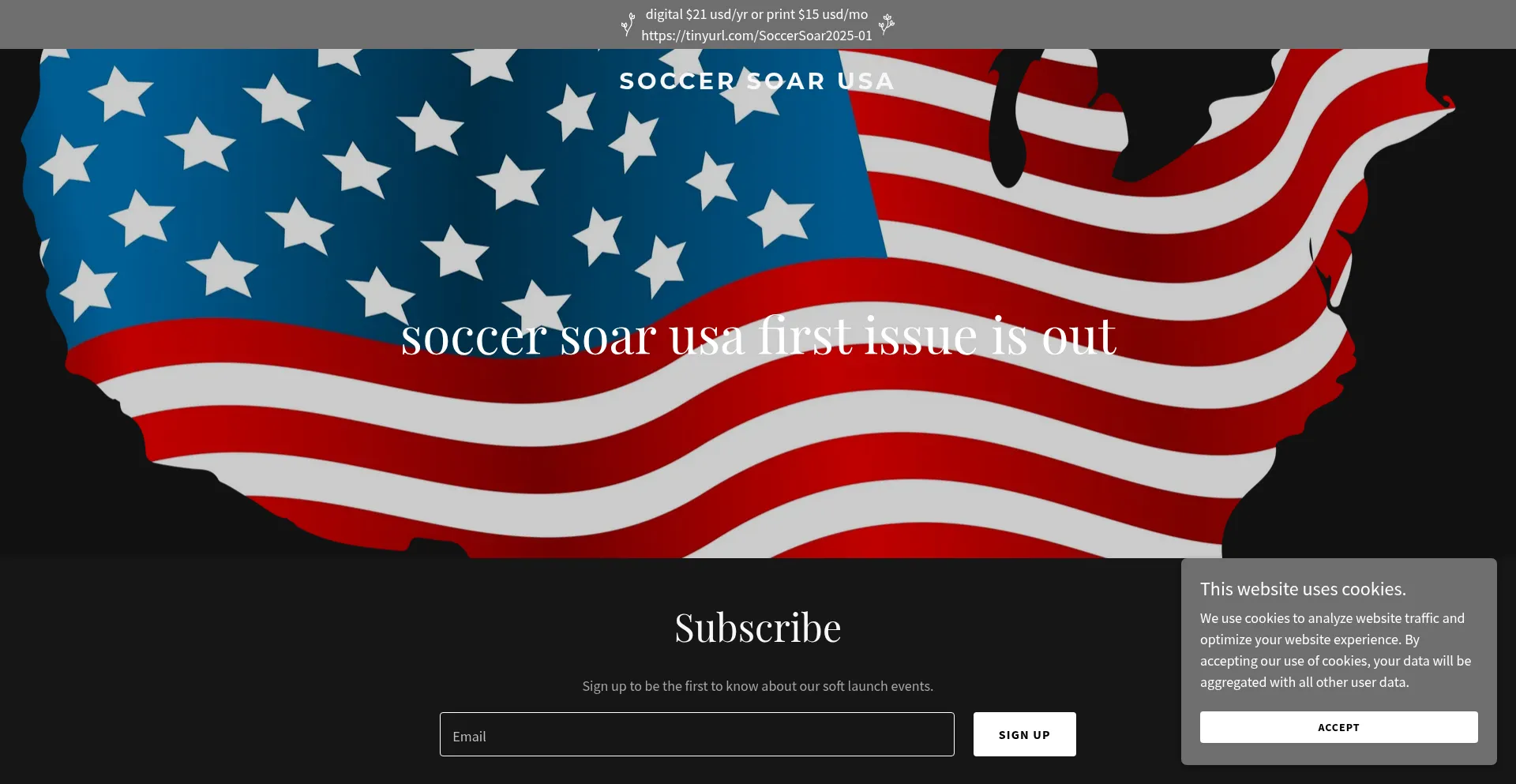 Website screenshot of Soccersoarusa.com