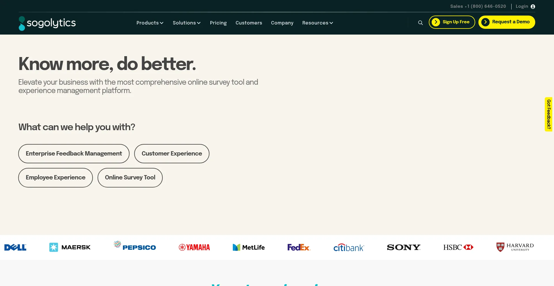 Website screenshot of Sogolytics.com