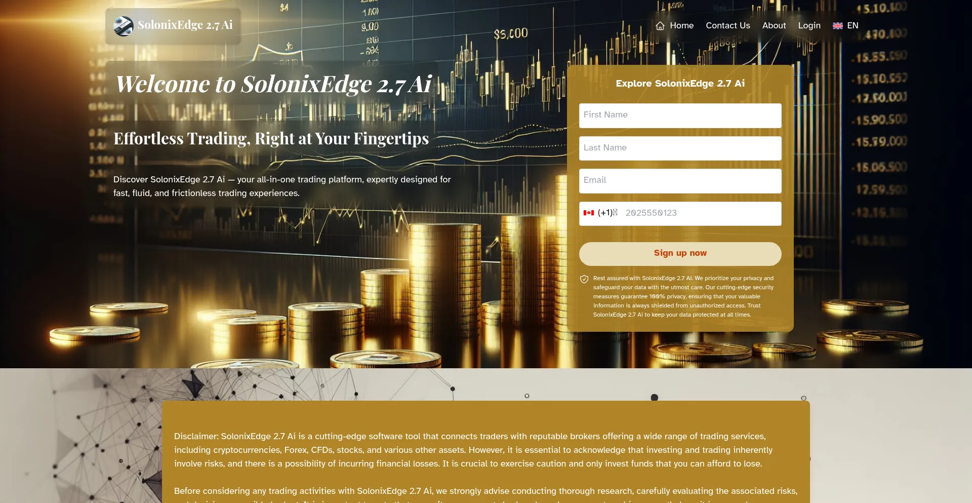 Website screenshot of Solonixedgeai.com