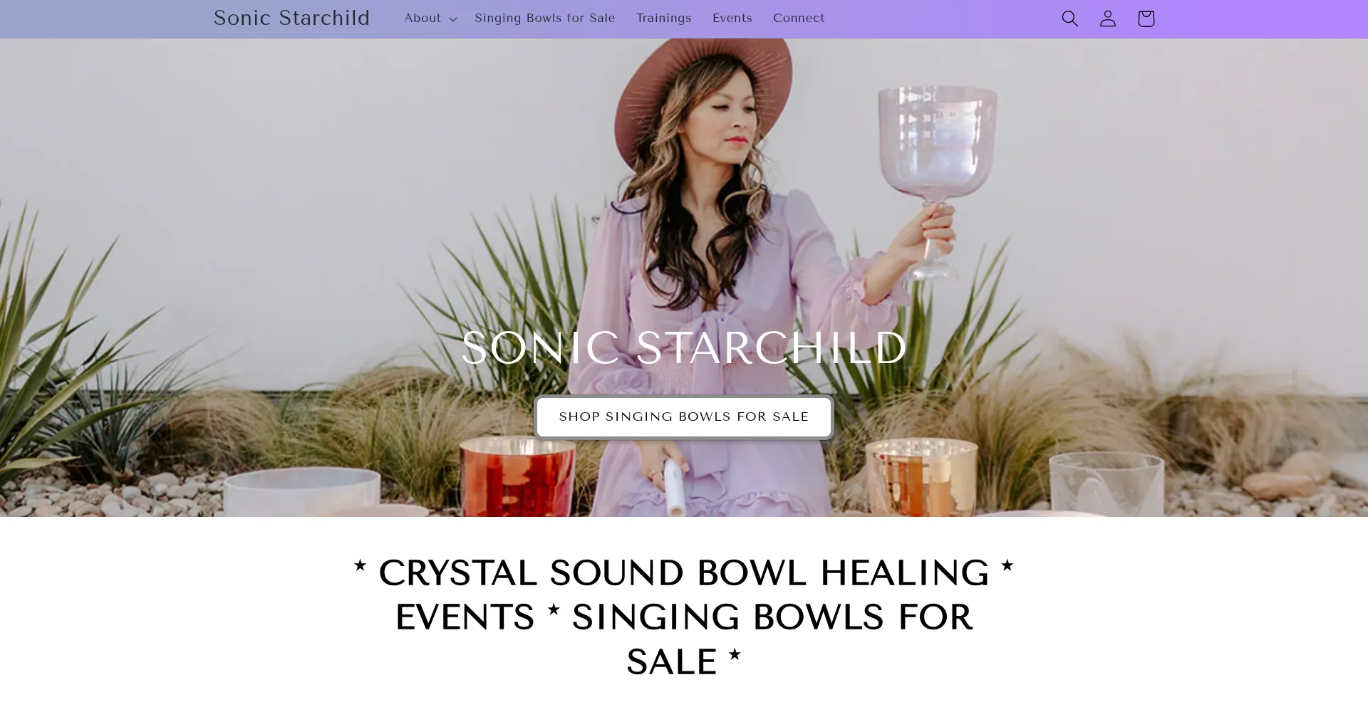 ¿És Seguro y Confiable Sonicstarchild.com?