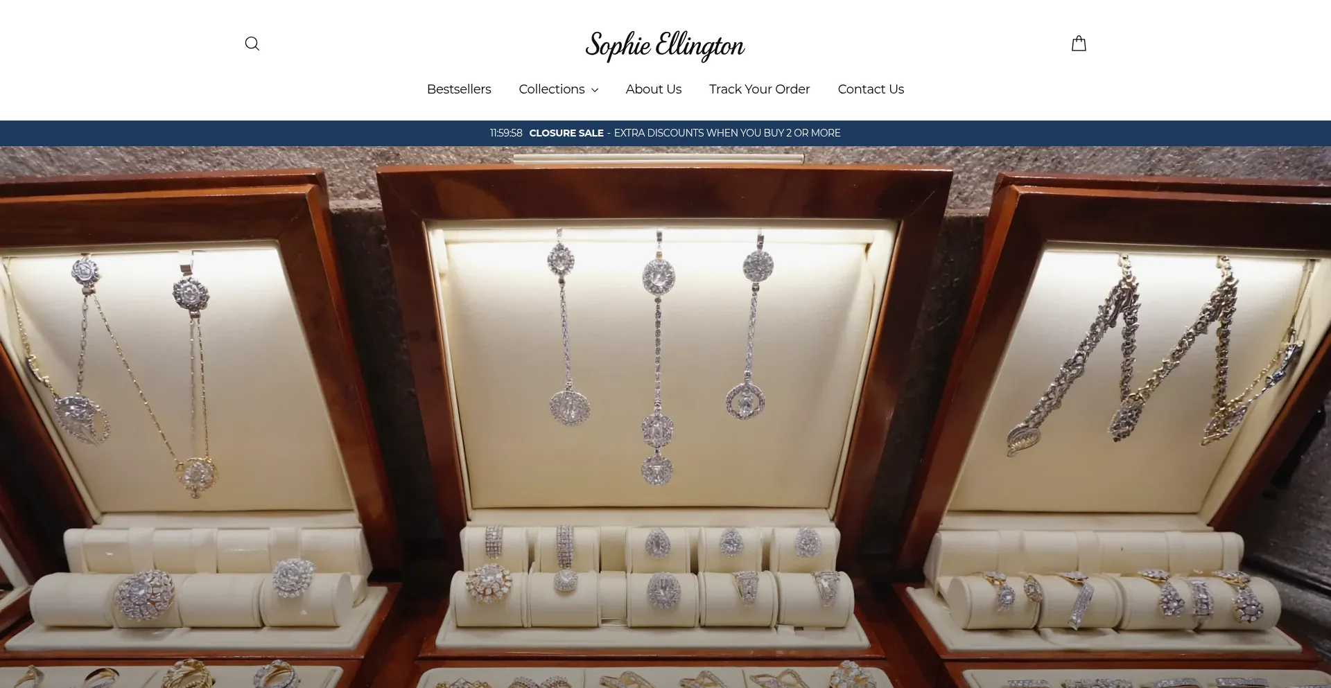 Website screenshot of Sophie-ellington.com