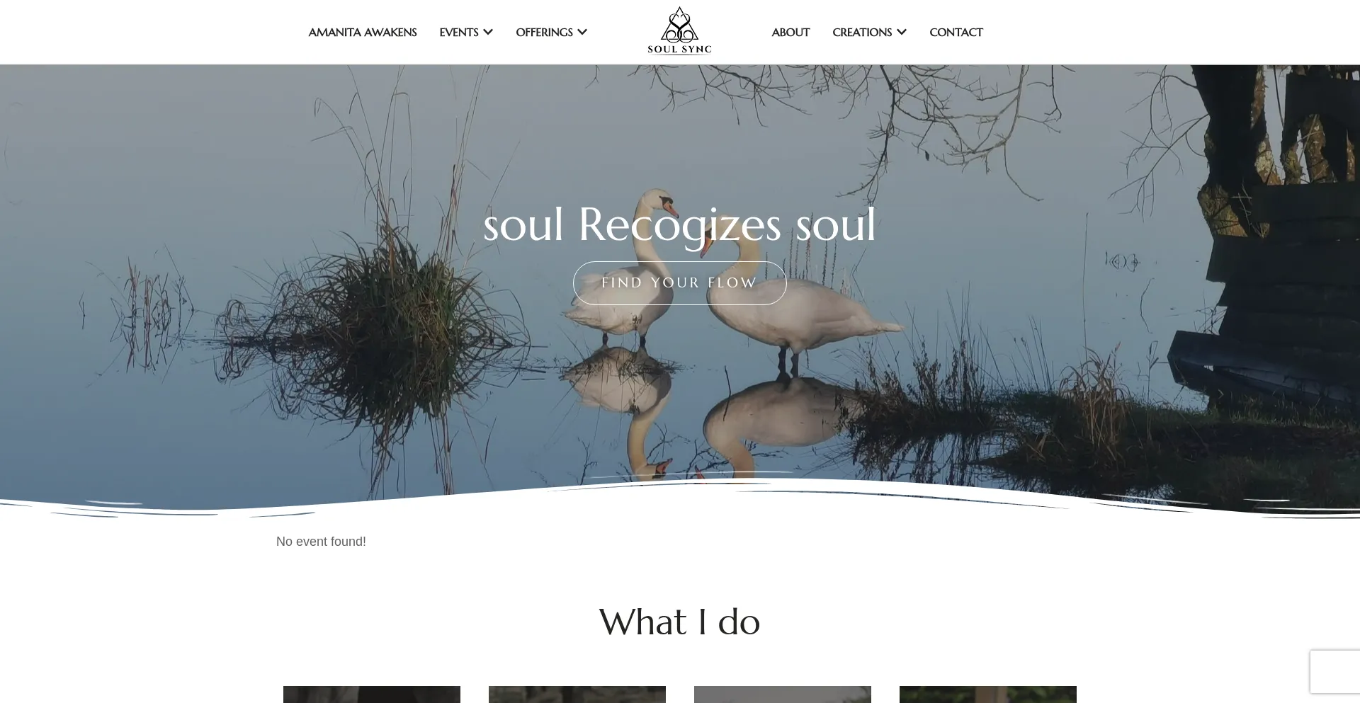 ¿És Seguro y Confiable Soulsync.life?
