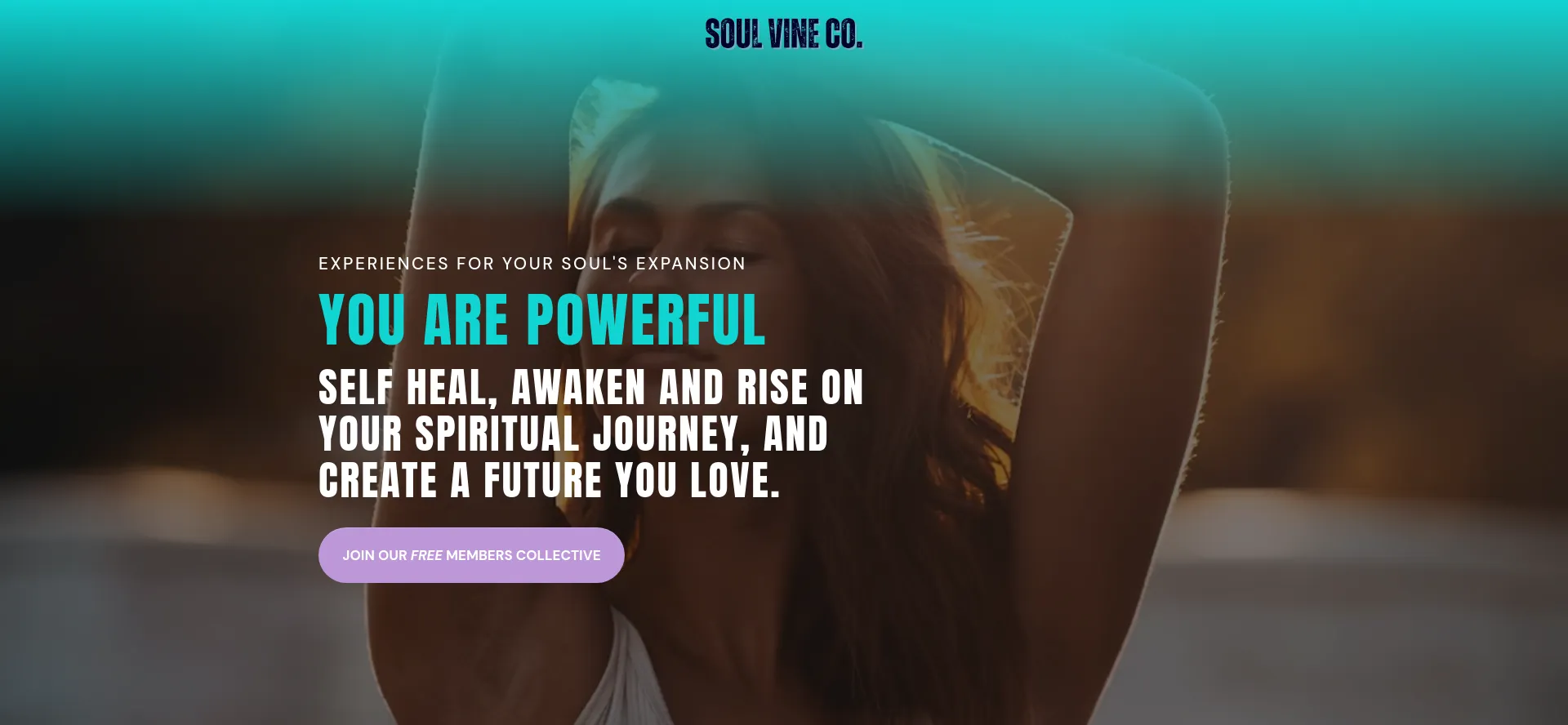 Soulvineco.com