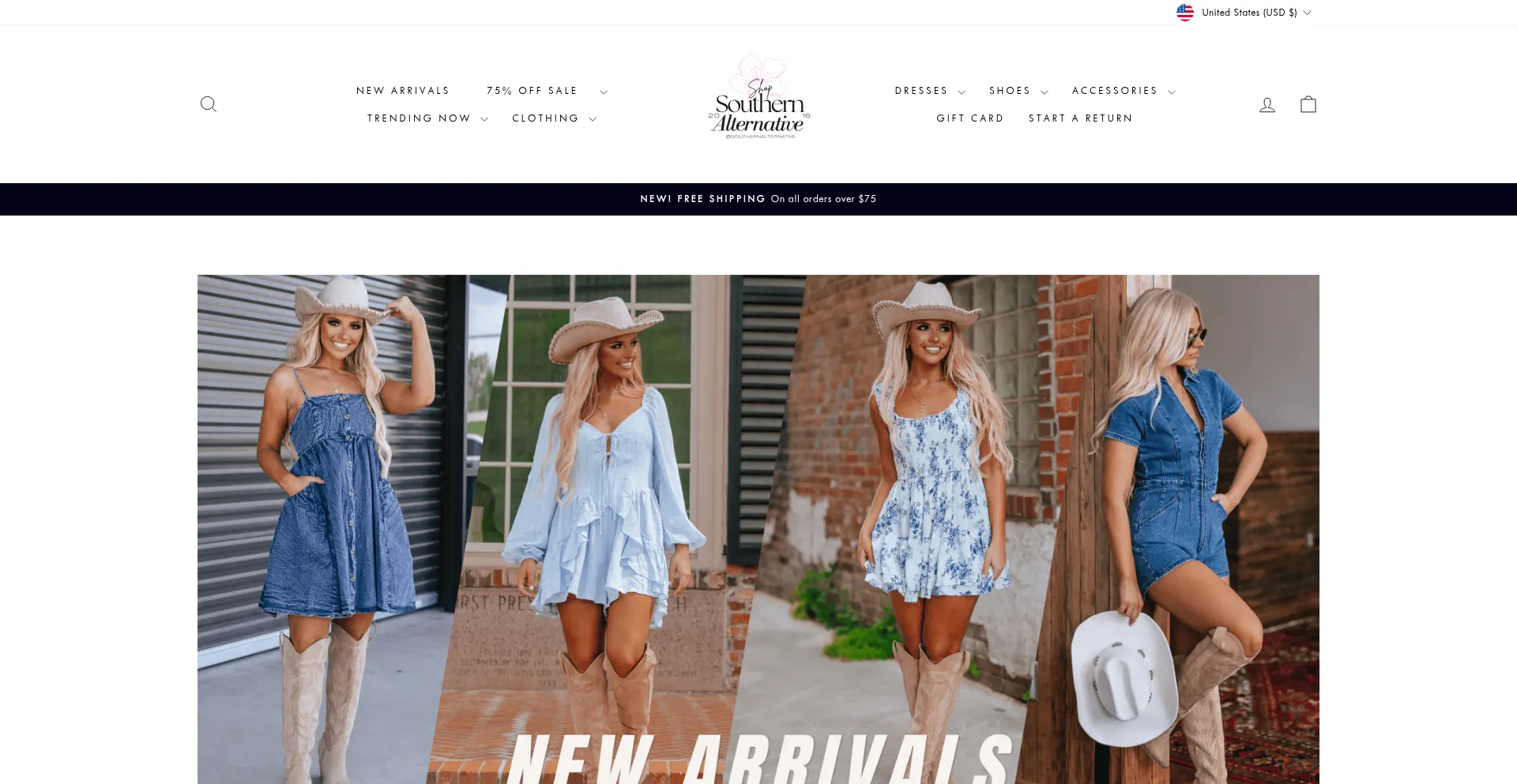 Website screenshot of Southernalternative.com