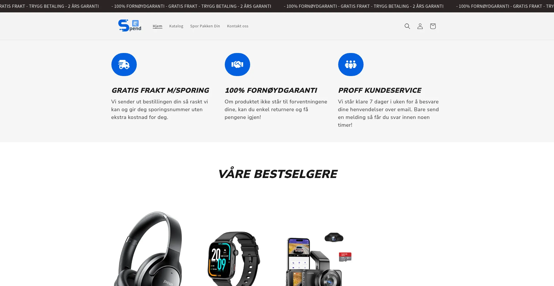 Website screenshot of Spendit.no