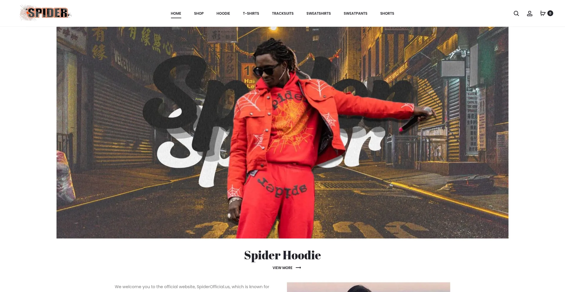 Website screenshot of Spiderofficial.us