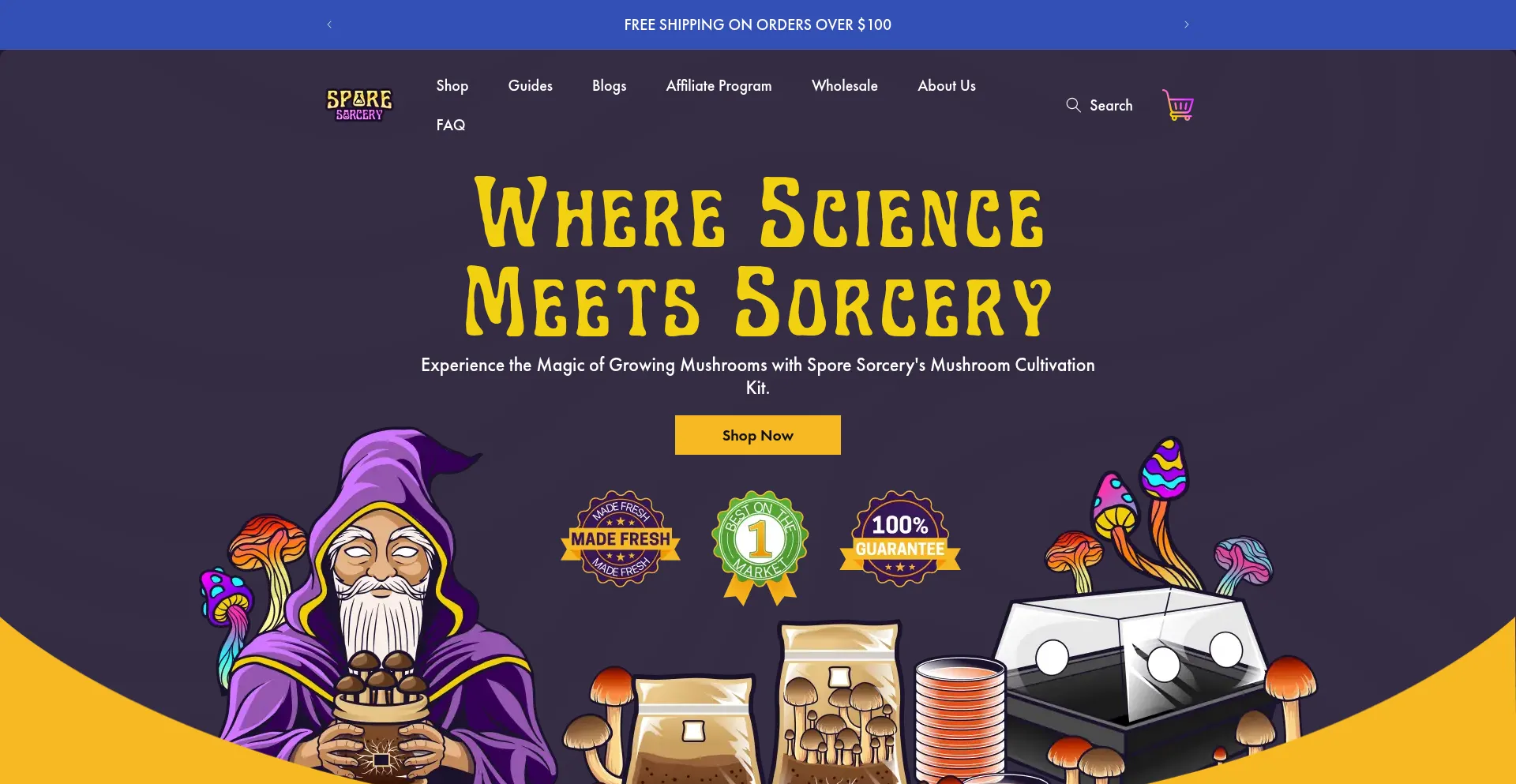 Website screenshot of Sporesorcery.com