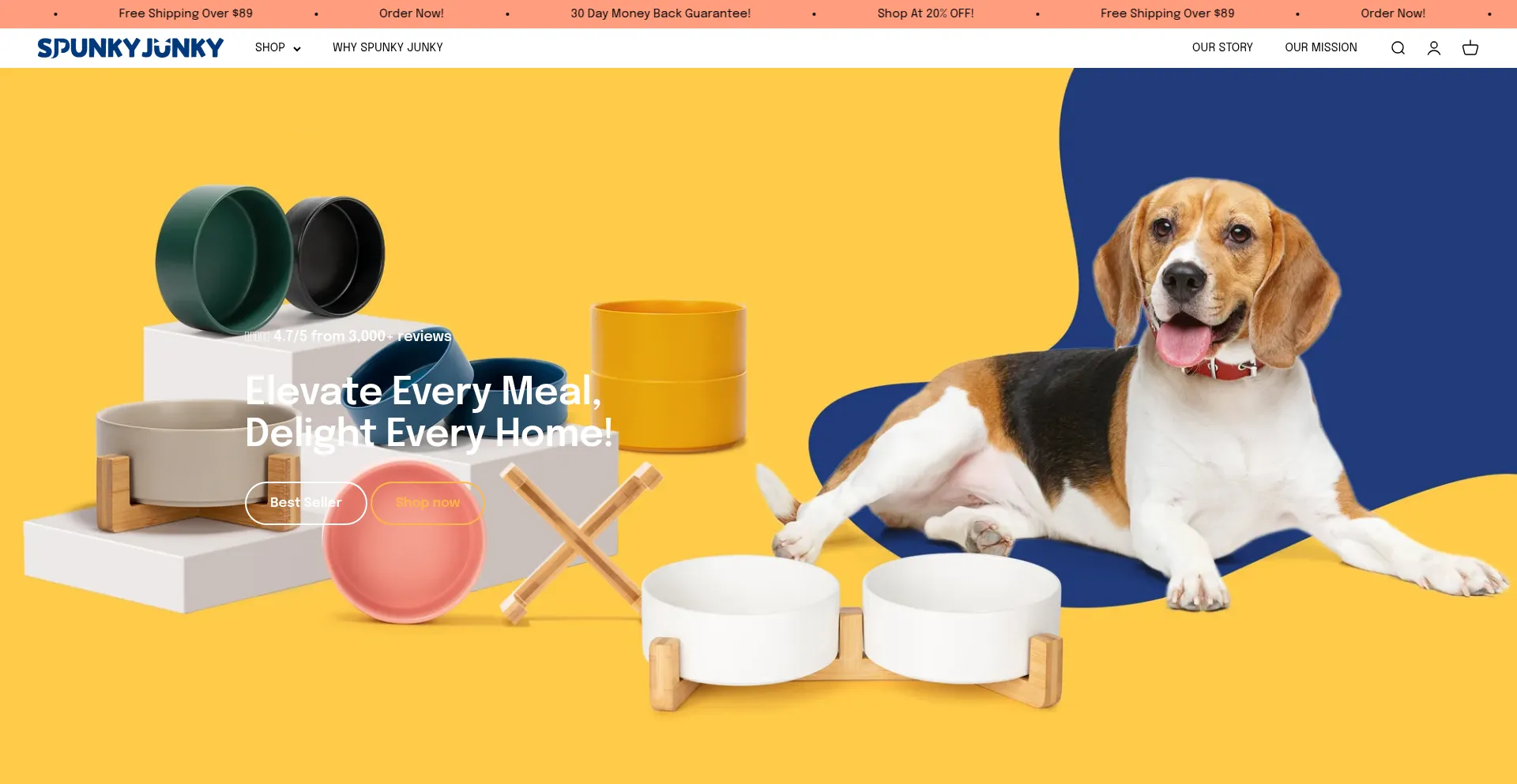 Website screenshot of Spunkyjunky.com