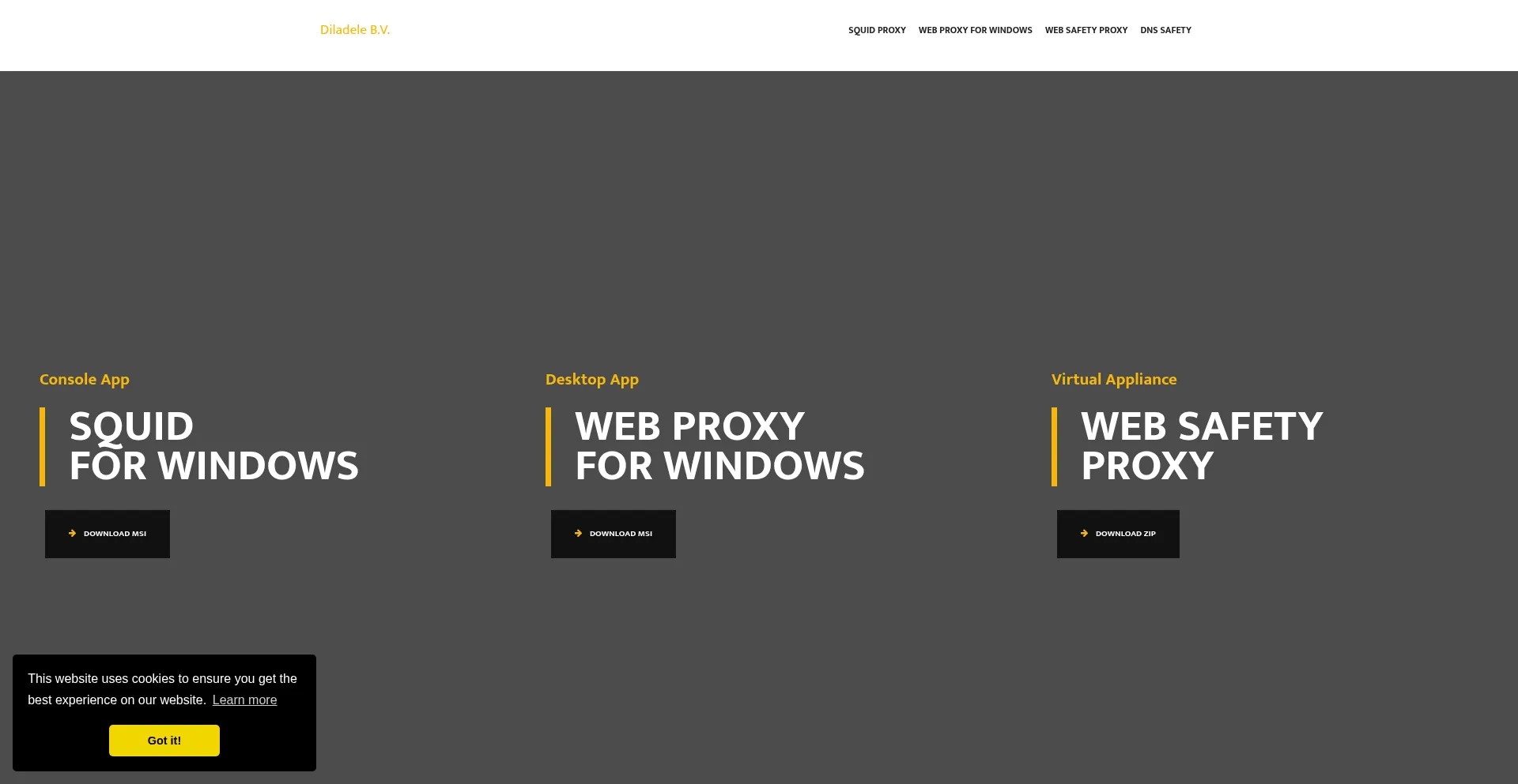 Website screenshot of Squid.diladele.com