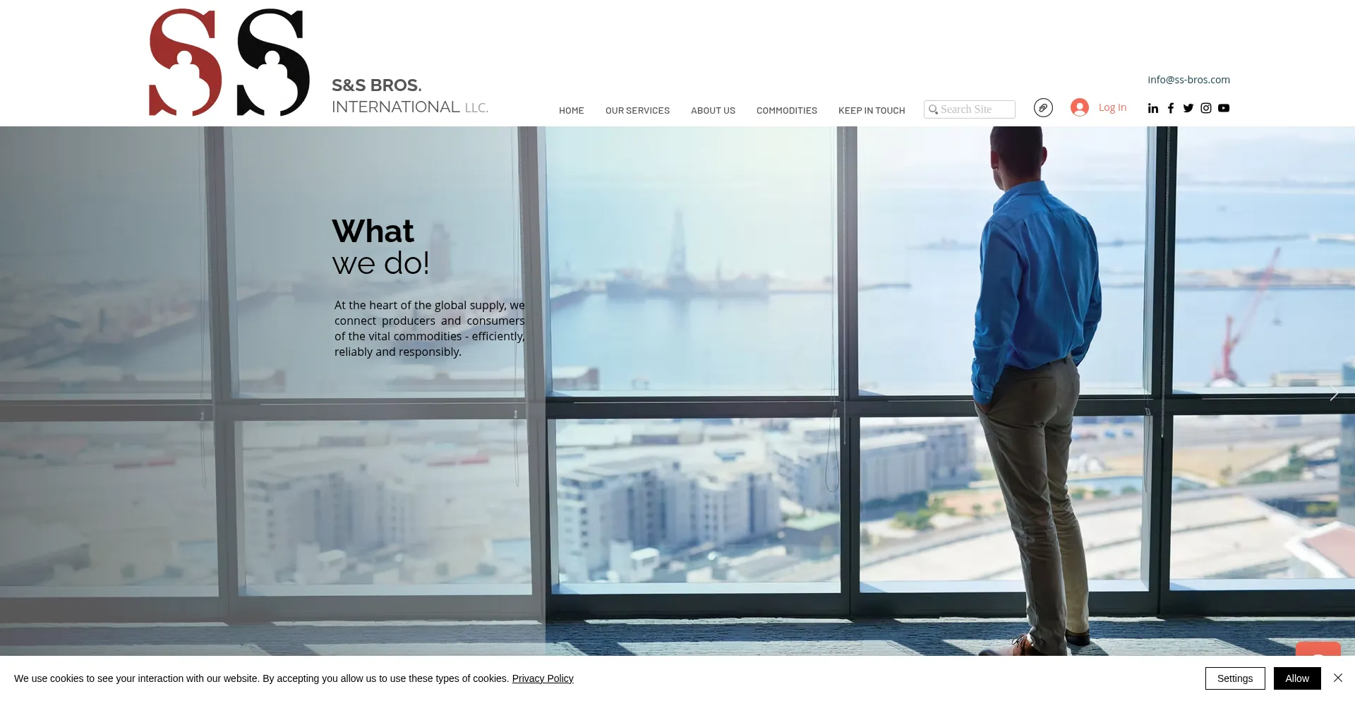 Website screenshot of Ss-bros.com