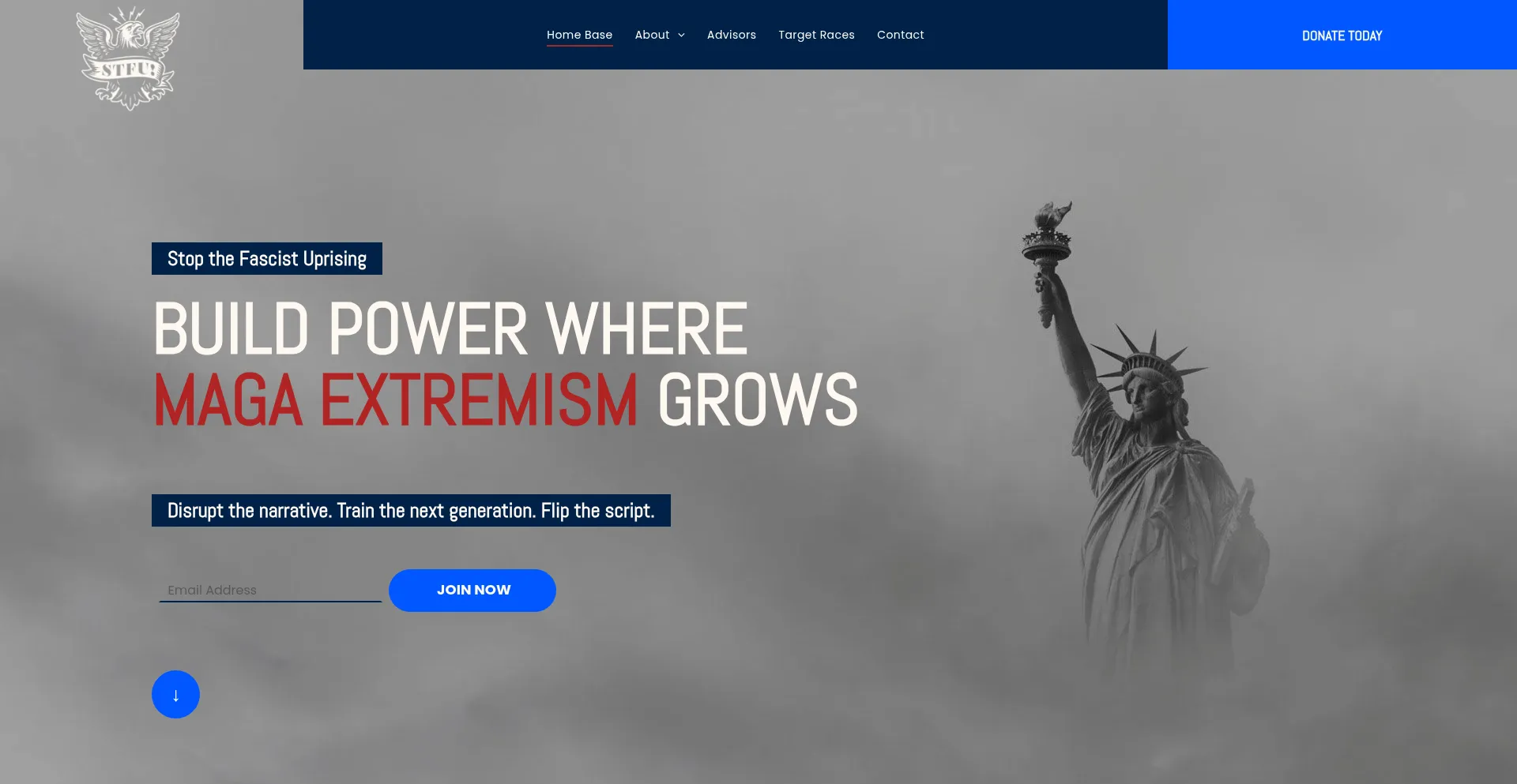 Website screenshot of St-fu.org