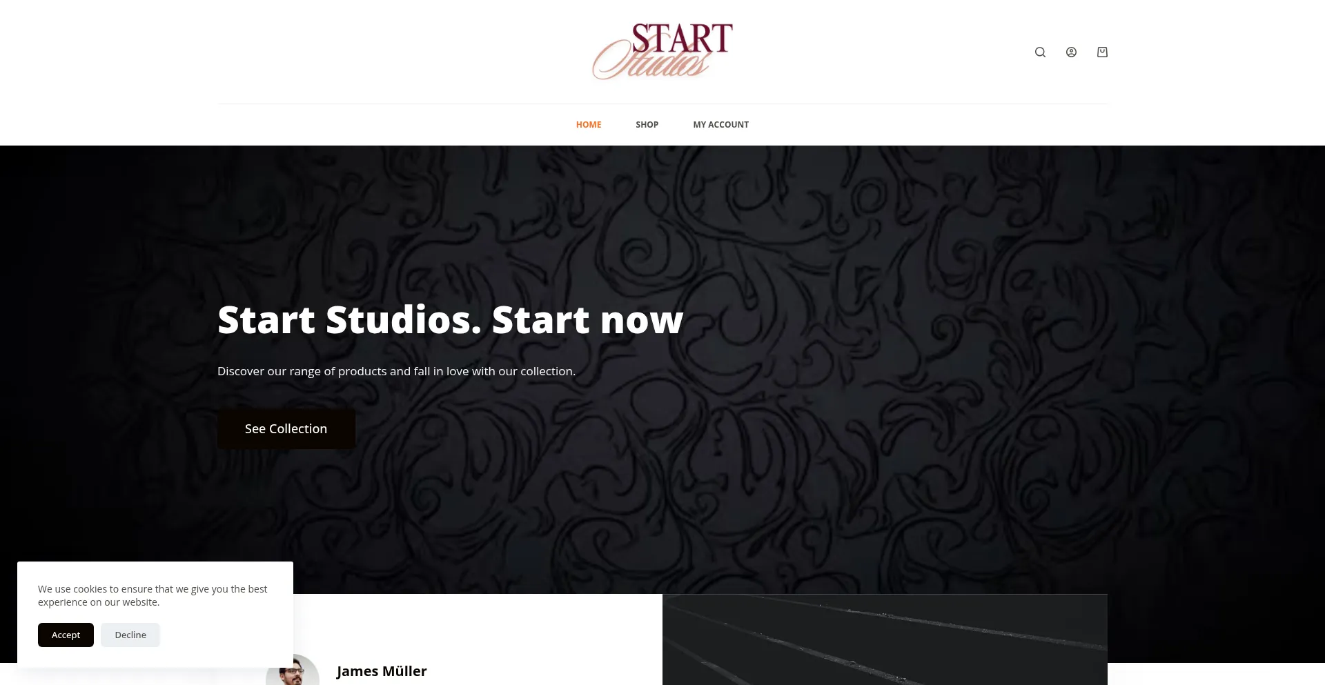 Website screenshot of Startstudiosbrand.com