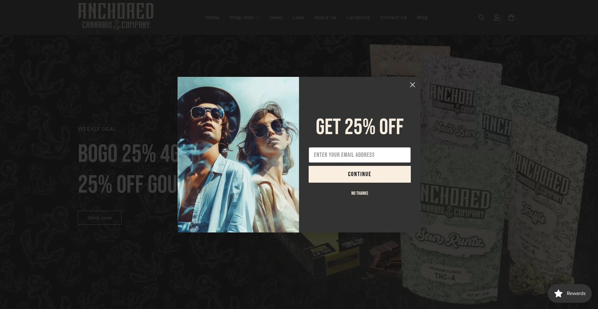 Website screenshot of Stayanchored.com