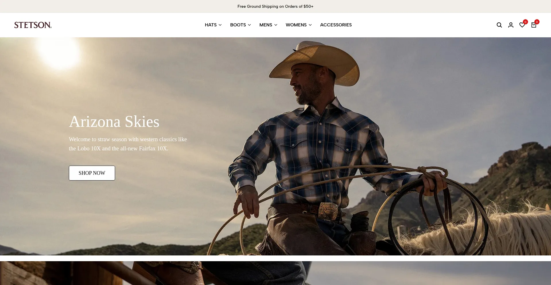 Stetsonshops.us