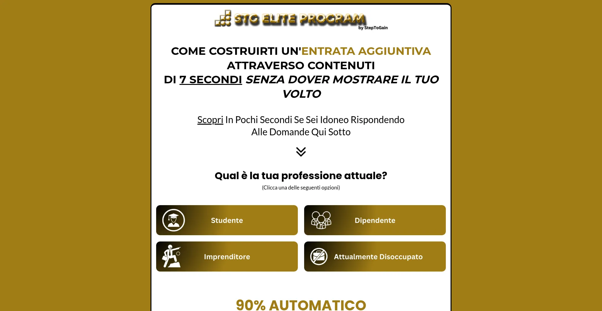 Website screenshot of Stgeliteprogram.it