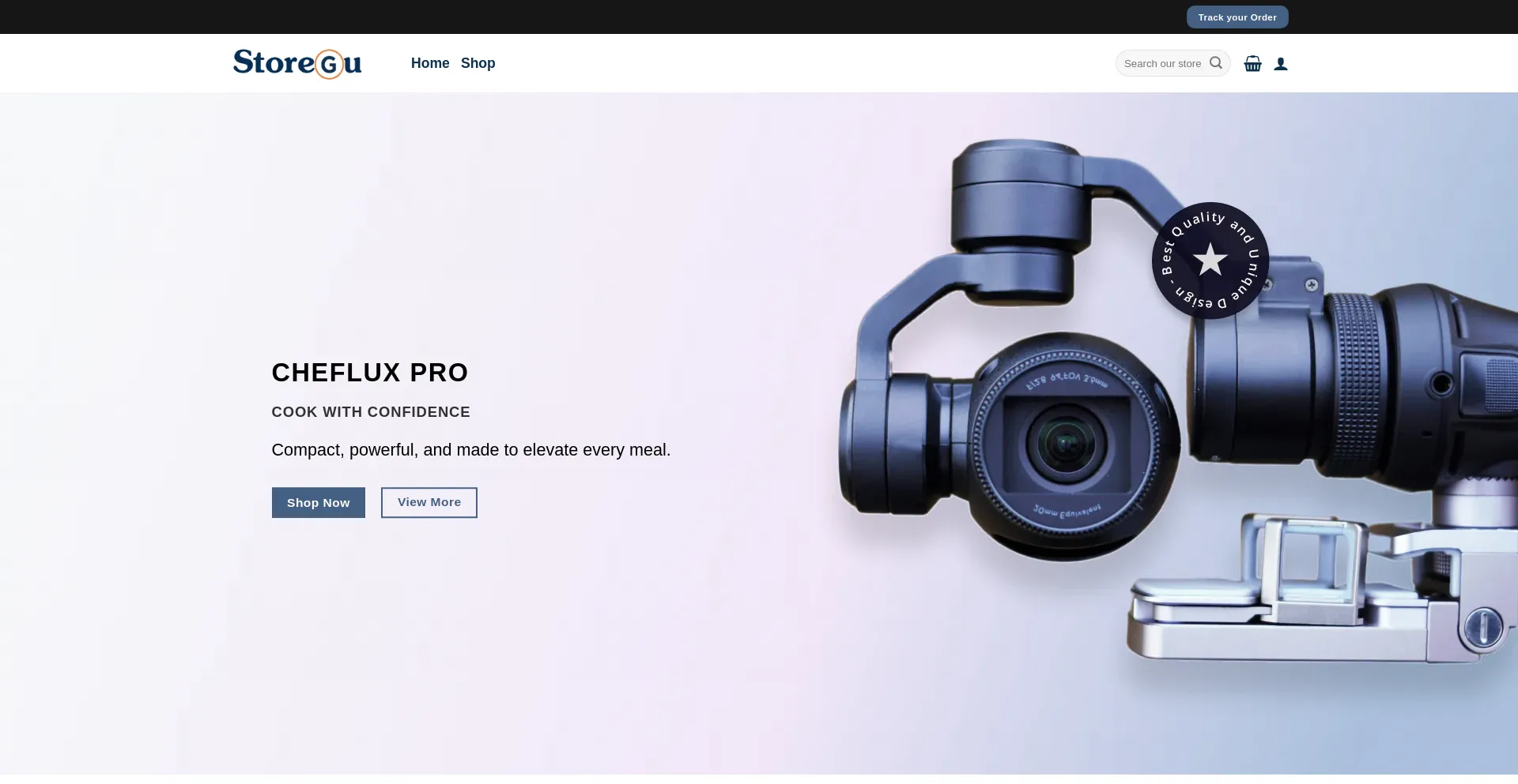 Website screenshot of Storegu.com