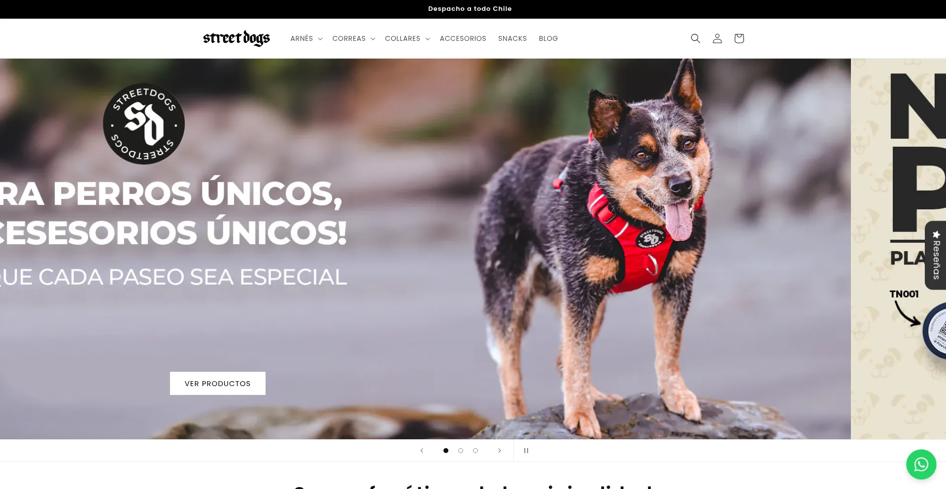 Streetdogs.cl