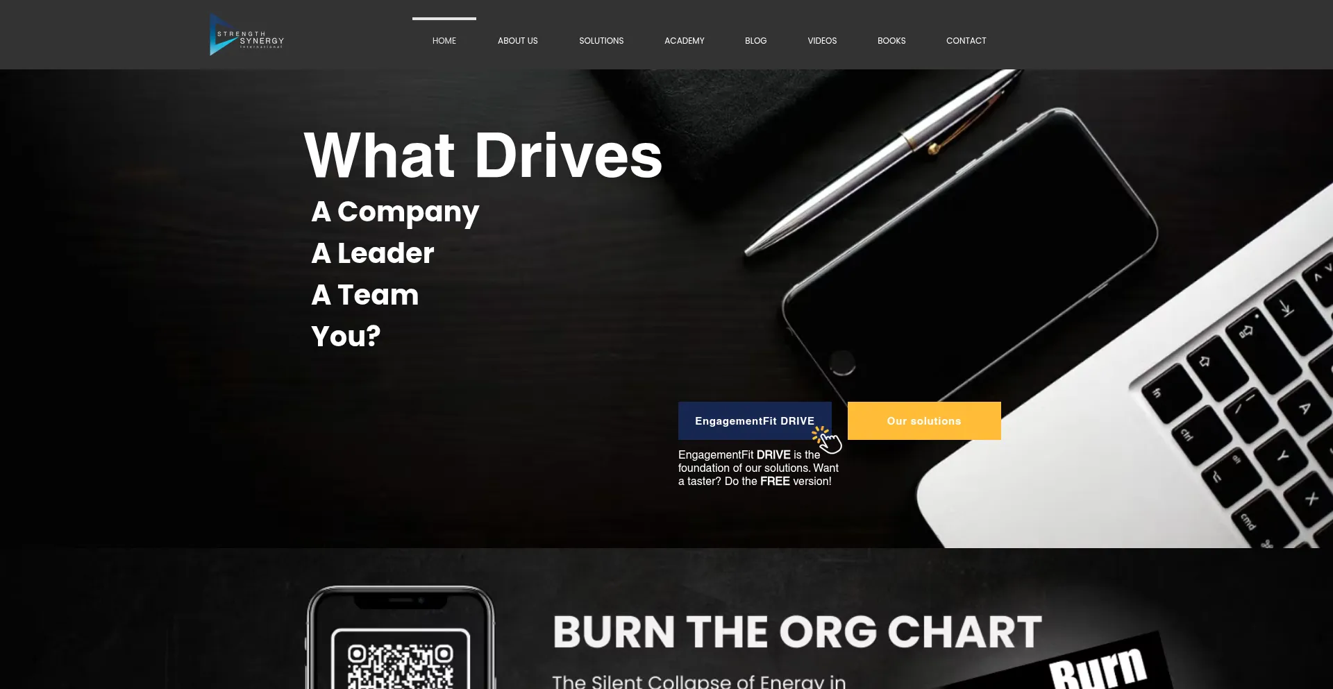 Strengthsynergy.co.za Screenshot
