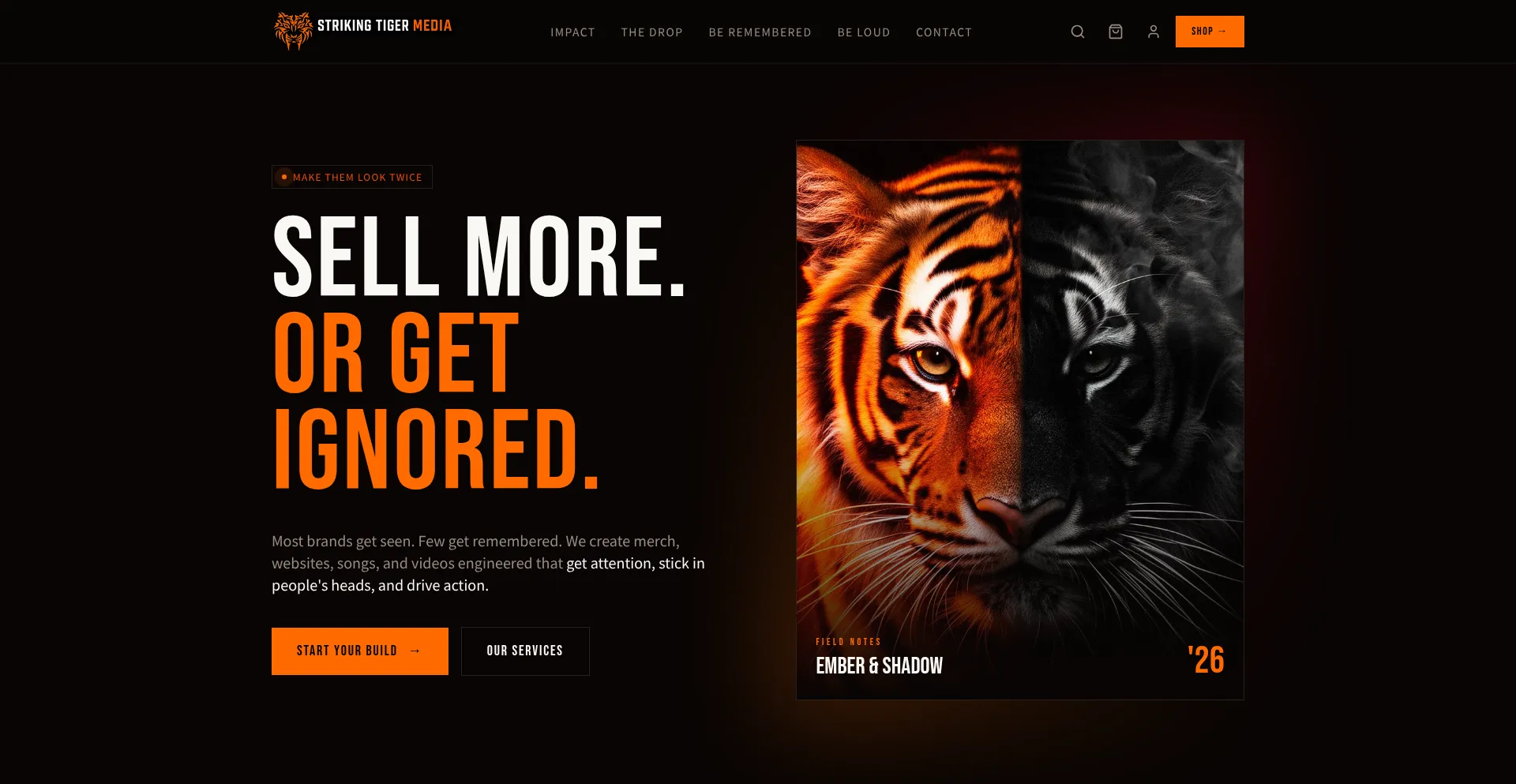 Strikingtigermedia.biz