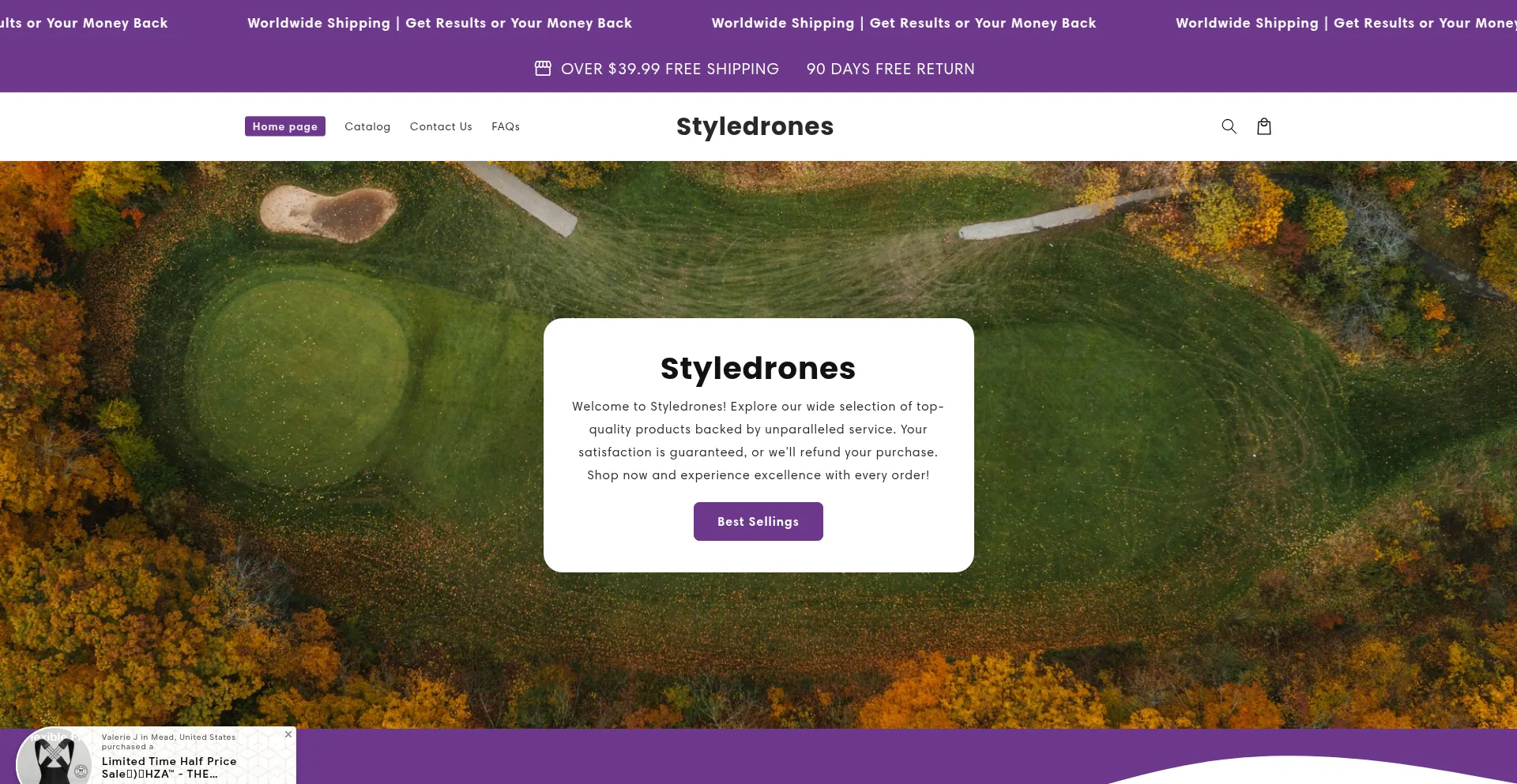 Website screenshot of Styledrones.com