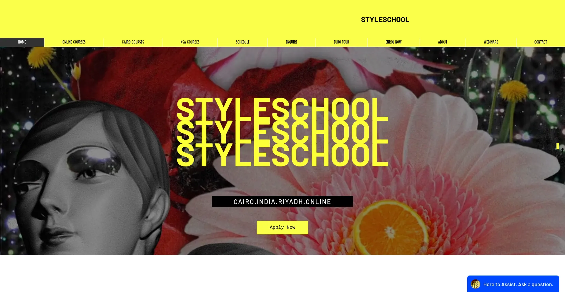 Website screenshot of Styleschool.co
