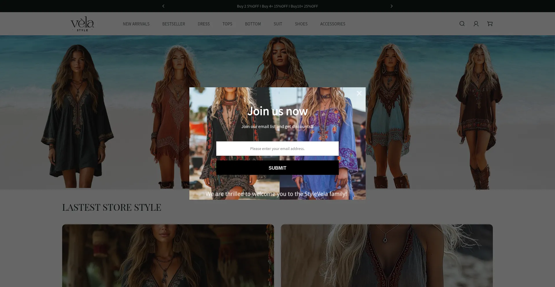 Website screenshot of Stylevela.com