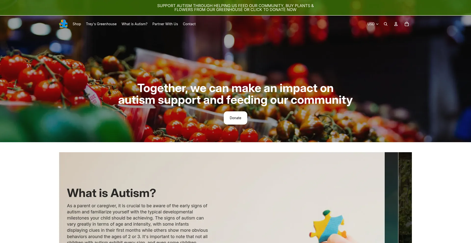 Stynchulafoundation.org
