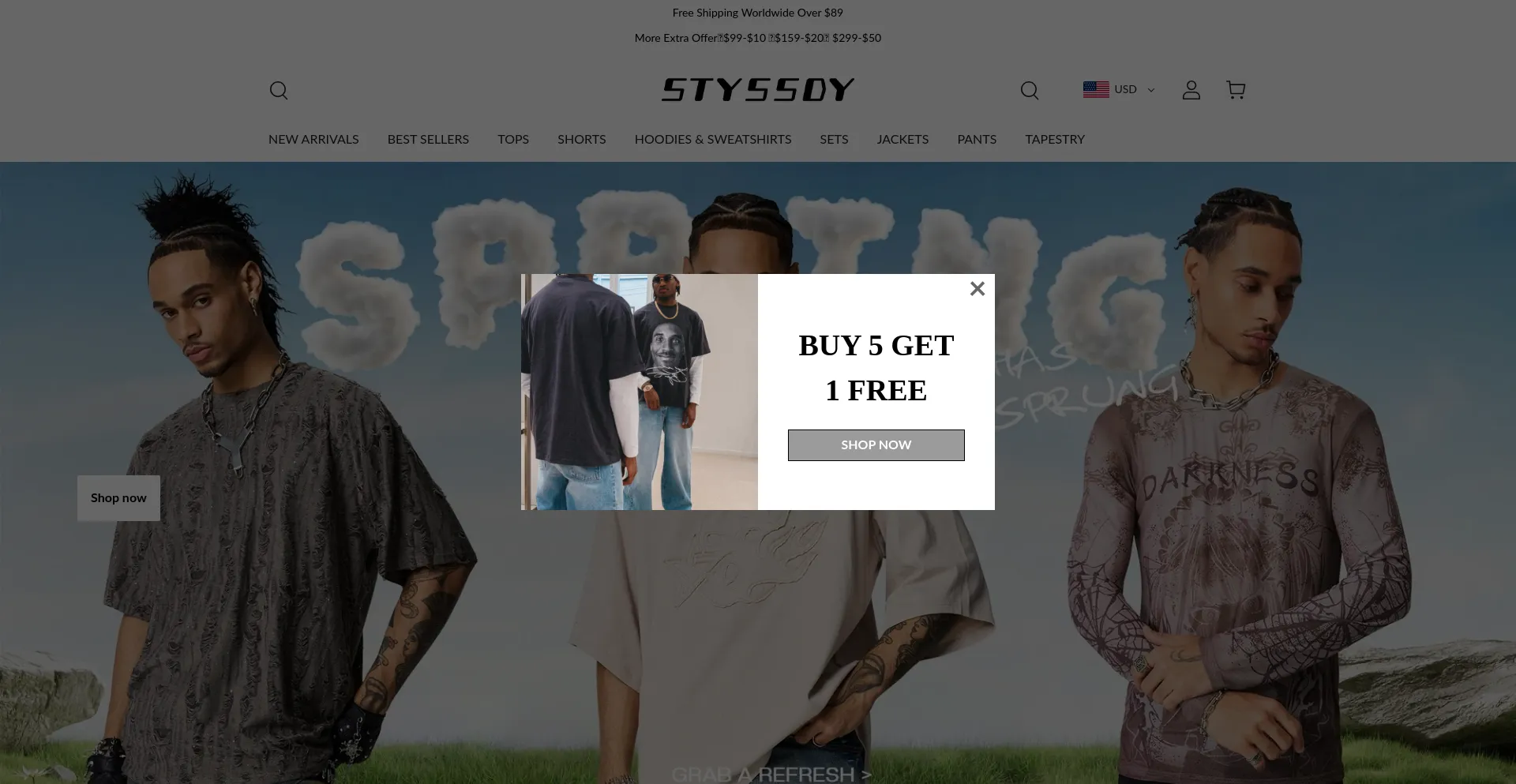 Website screenshot of Styssdy.com