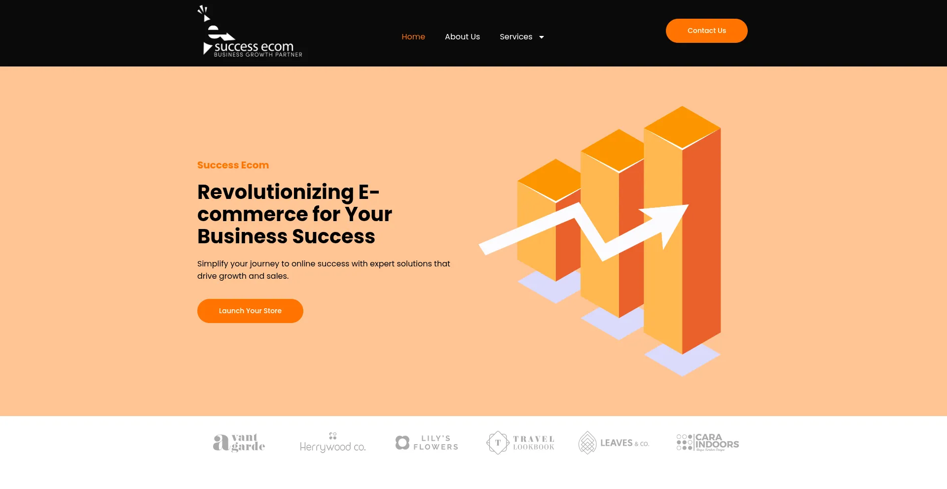 Website screenshot of Successecom.com