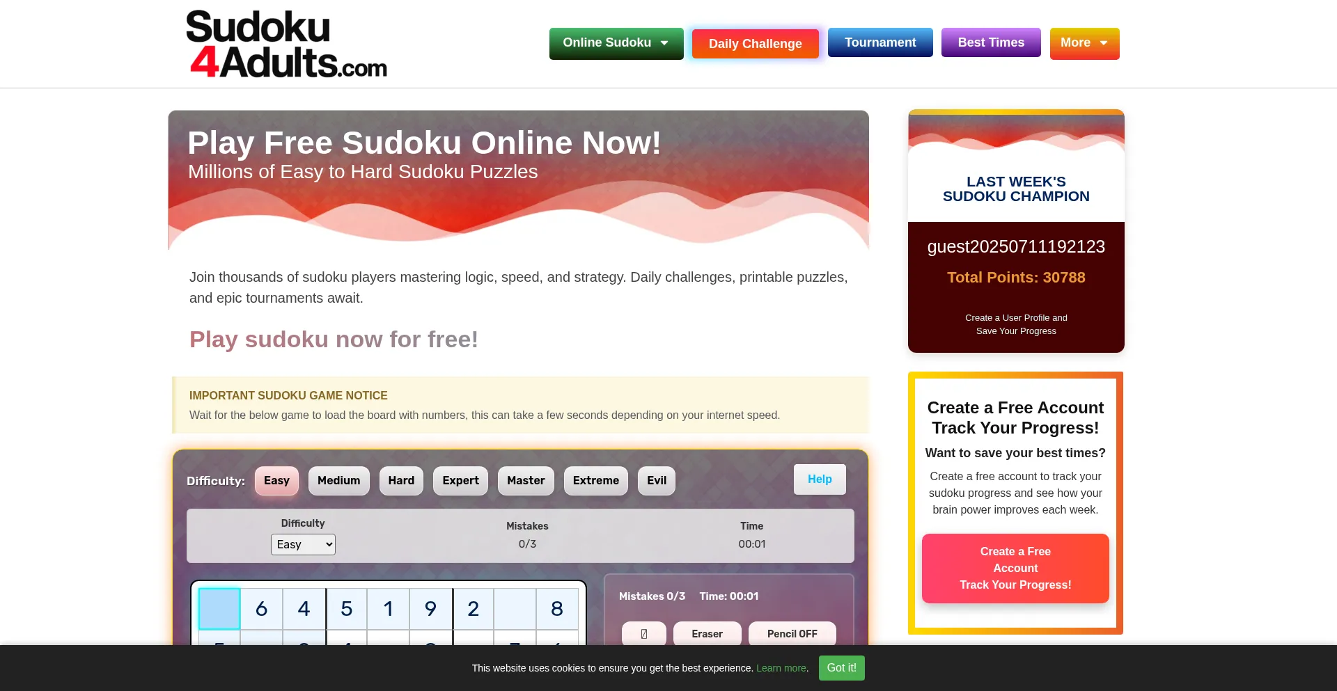 Website screenshot of Sudoku4adults.com