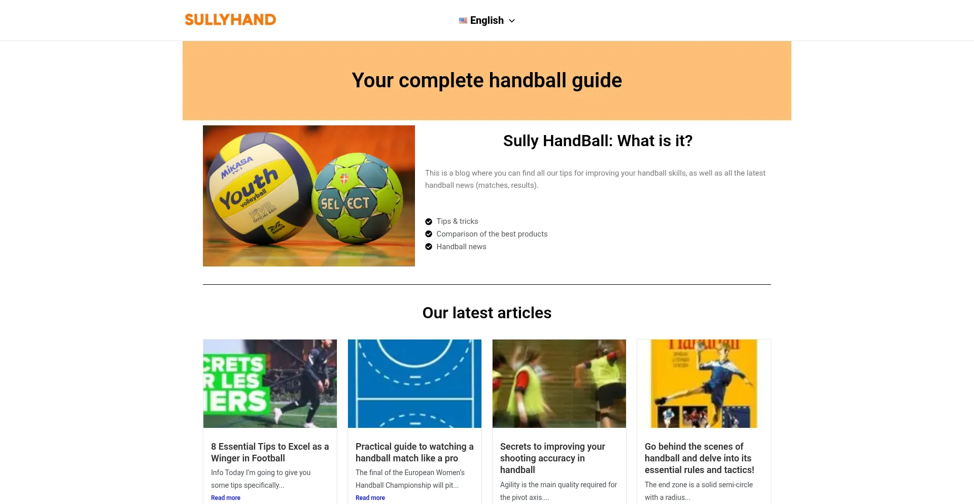 Sullyhand.fr Screenshot