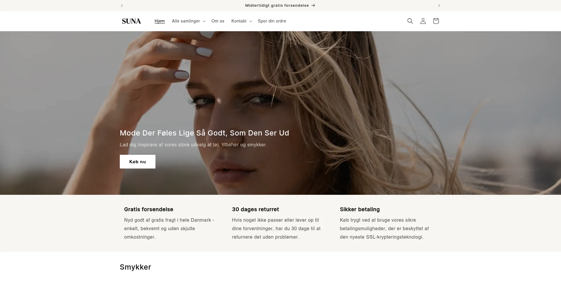 Website screenshot of Suna-store.com