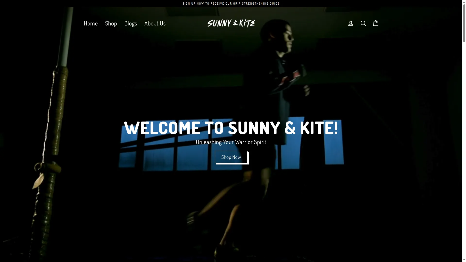 Sunnyandkite.com