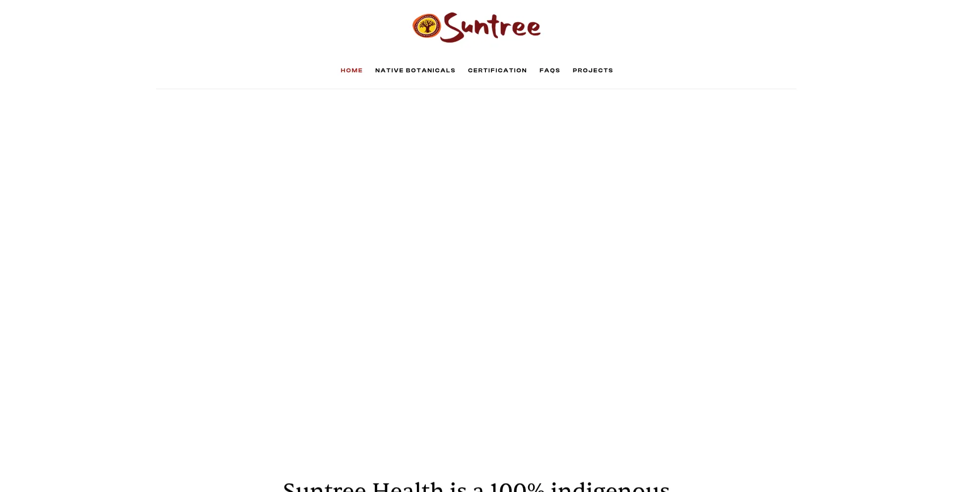 Website screenshot of Suntreeinternational.com
