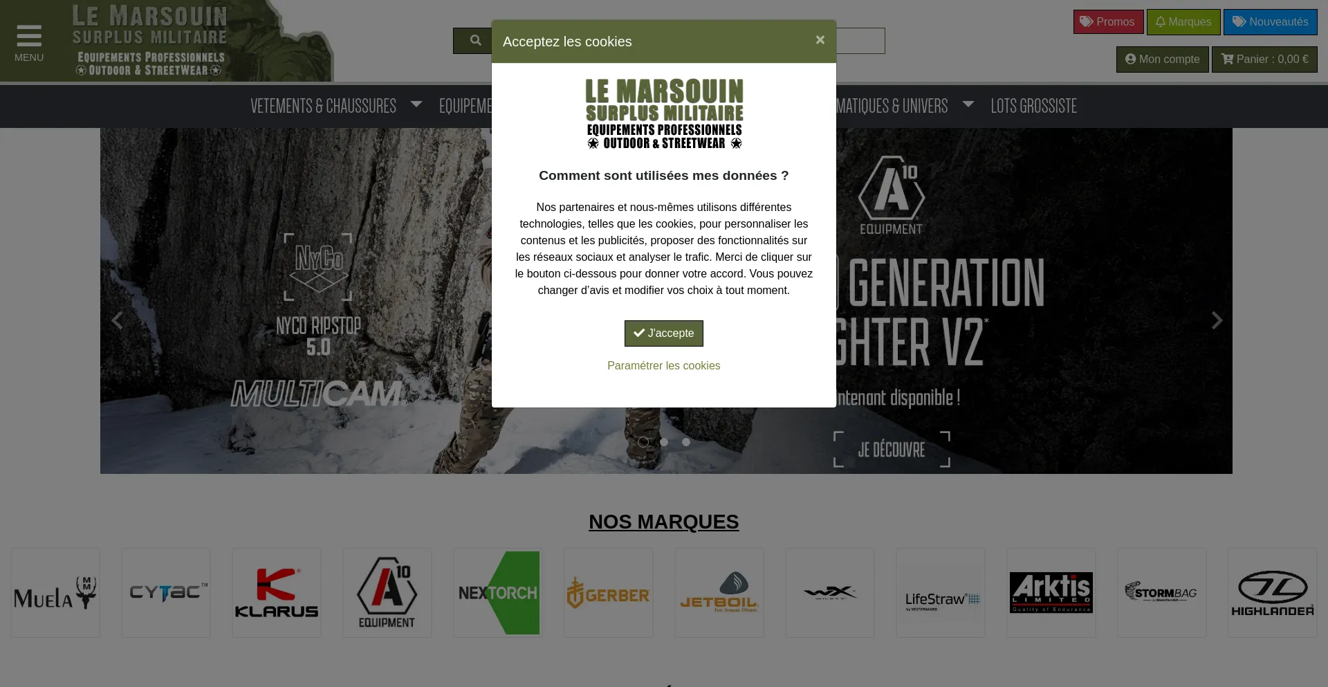 Website screenshot of Surplus-lemarsouin.com
