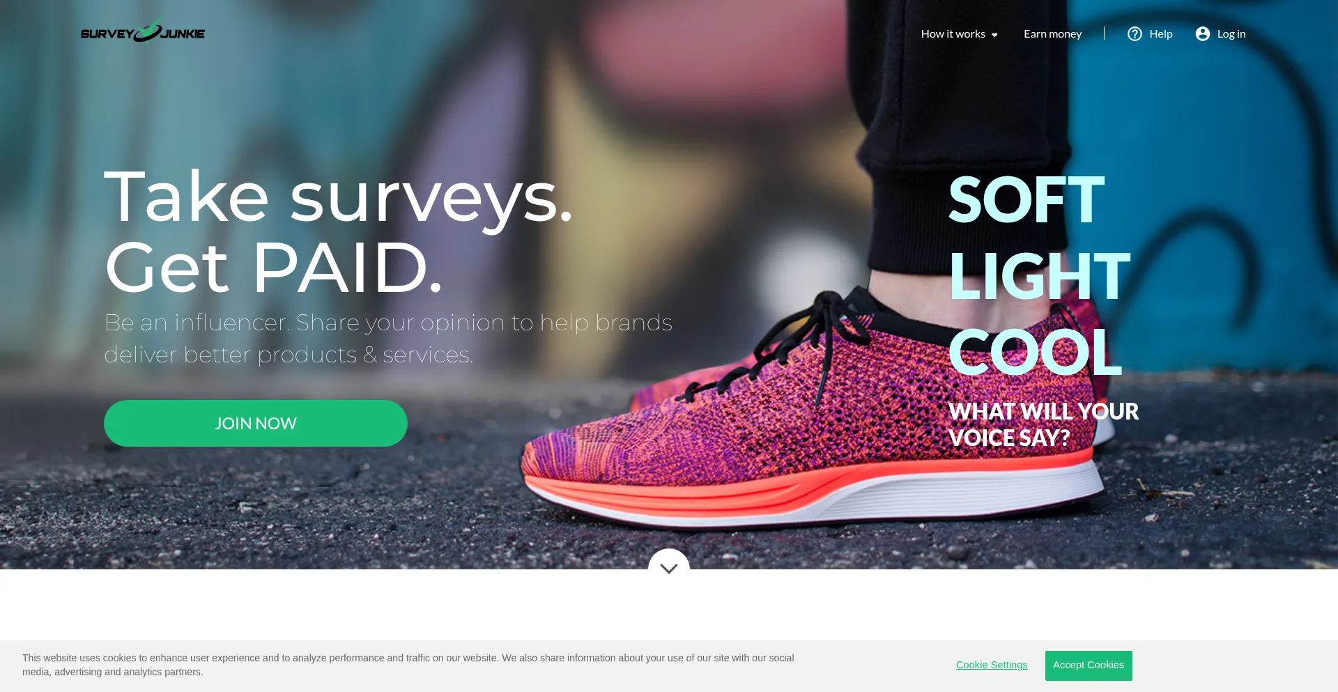 Website screenshot of Surveyjunkie.com