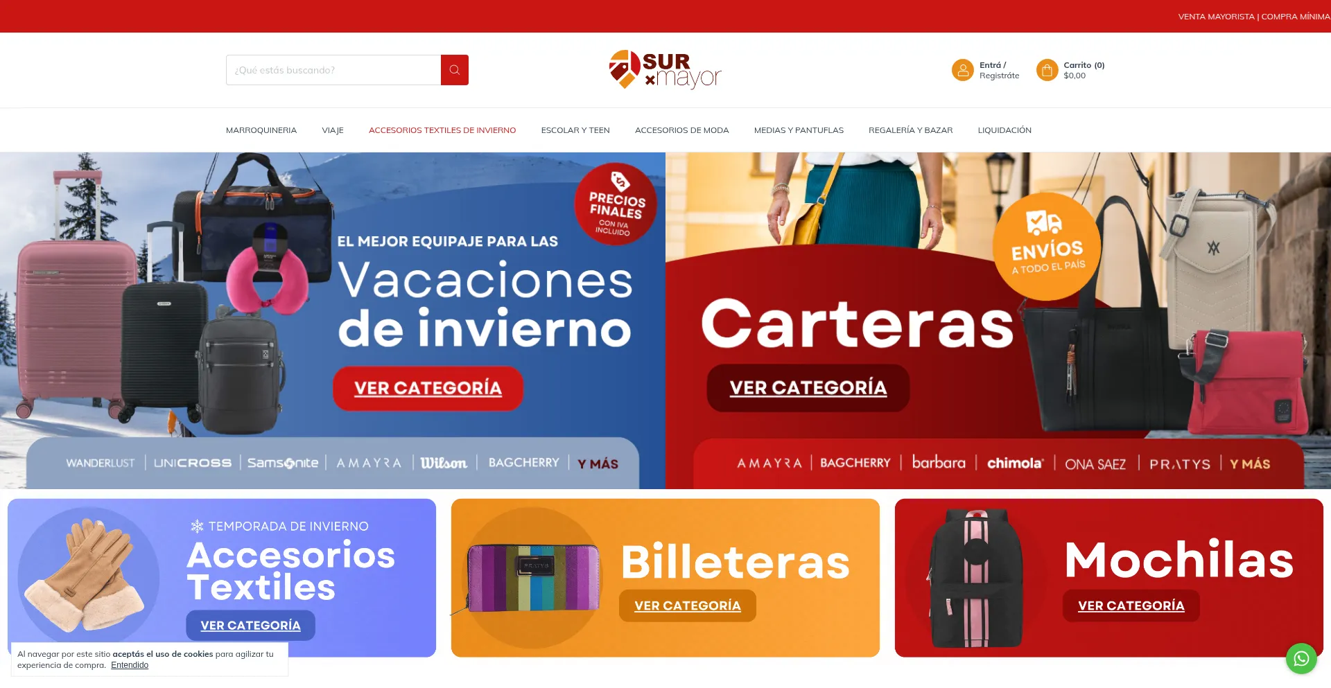 Website screenshot of Surxmayor.com
